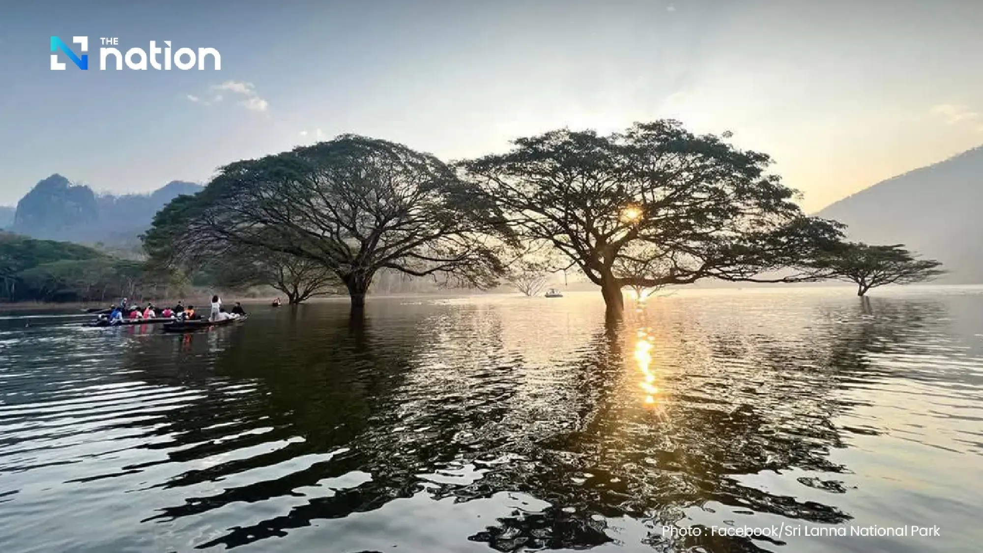 Discover Thailand's hidden gem: Boat tour to see 100-year-old giant monkey pod trees