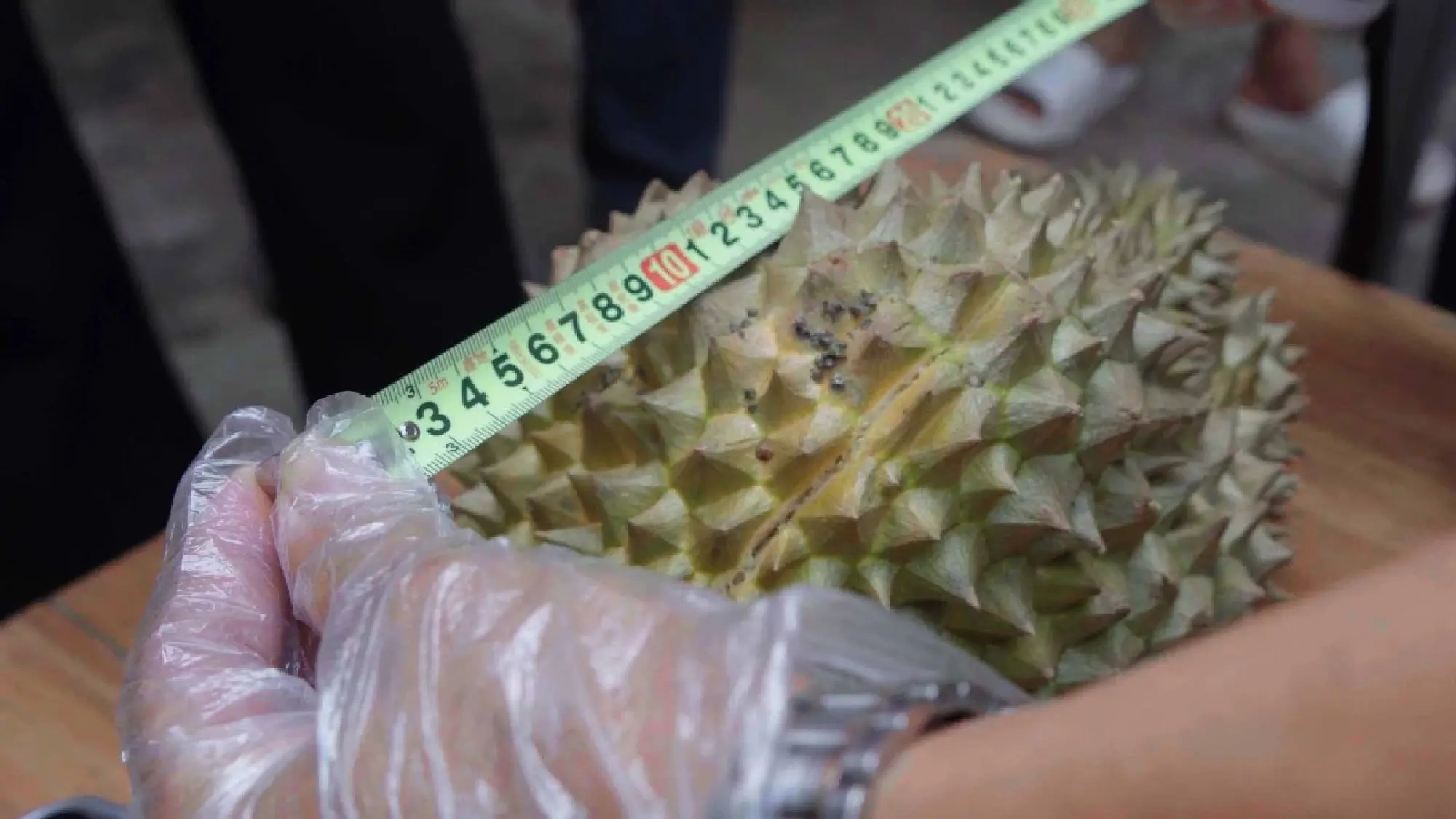 Cultivation in Yunnan paves the way for 'durian freedom'