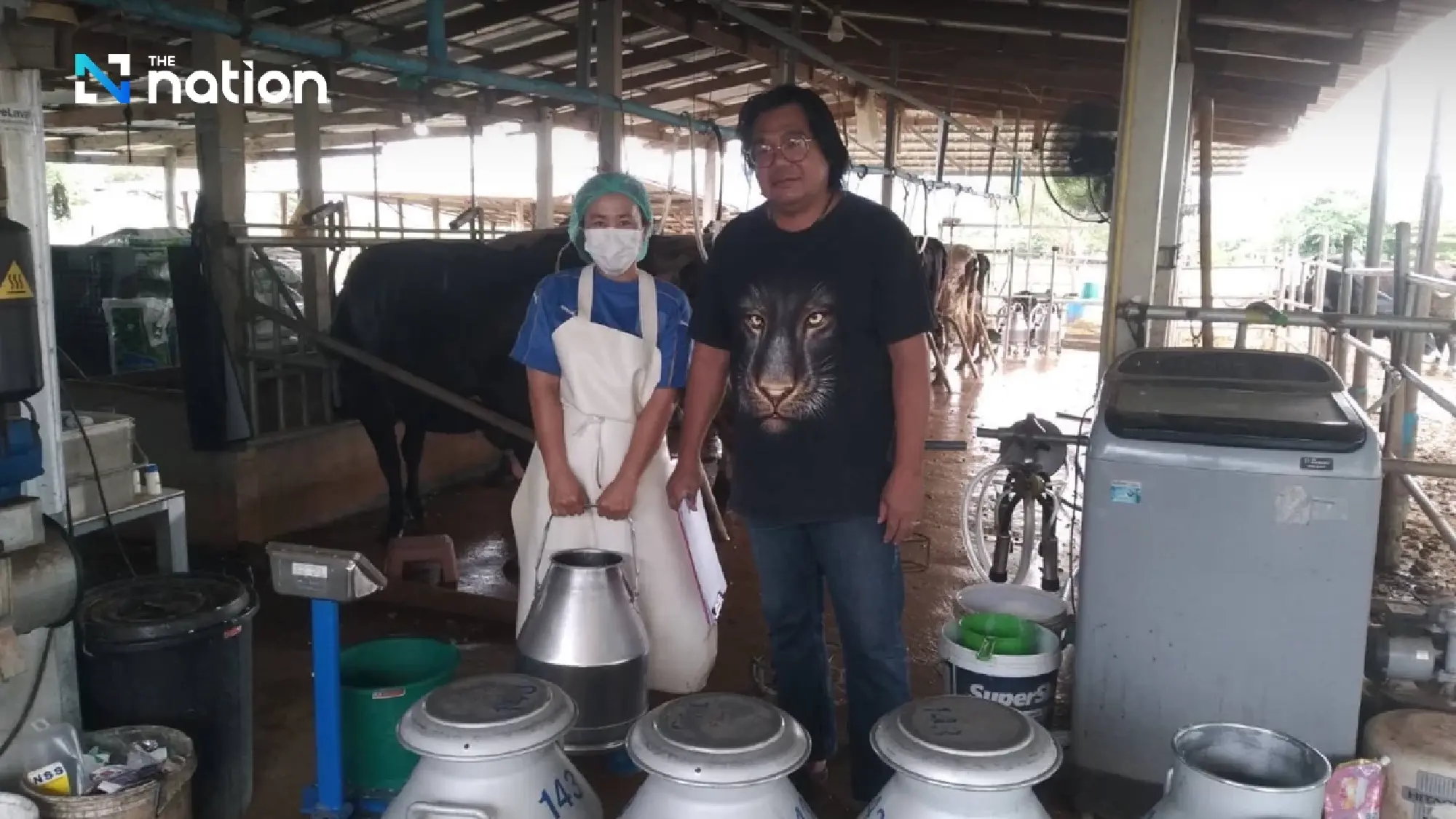 Livestock department assures Thai raw milk is safe and high quality 