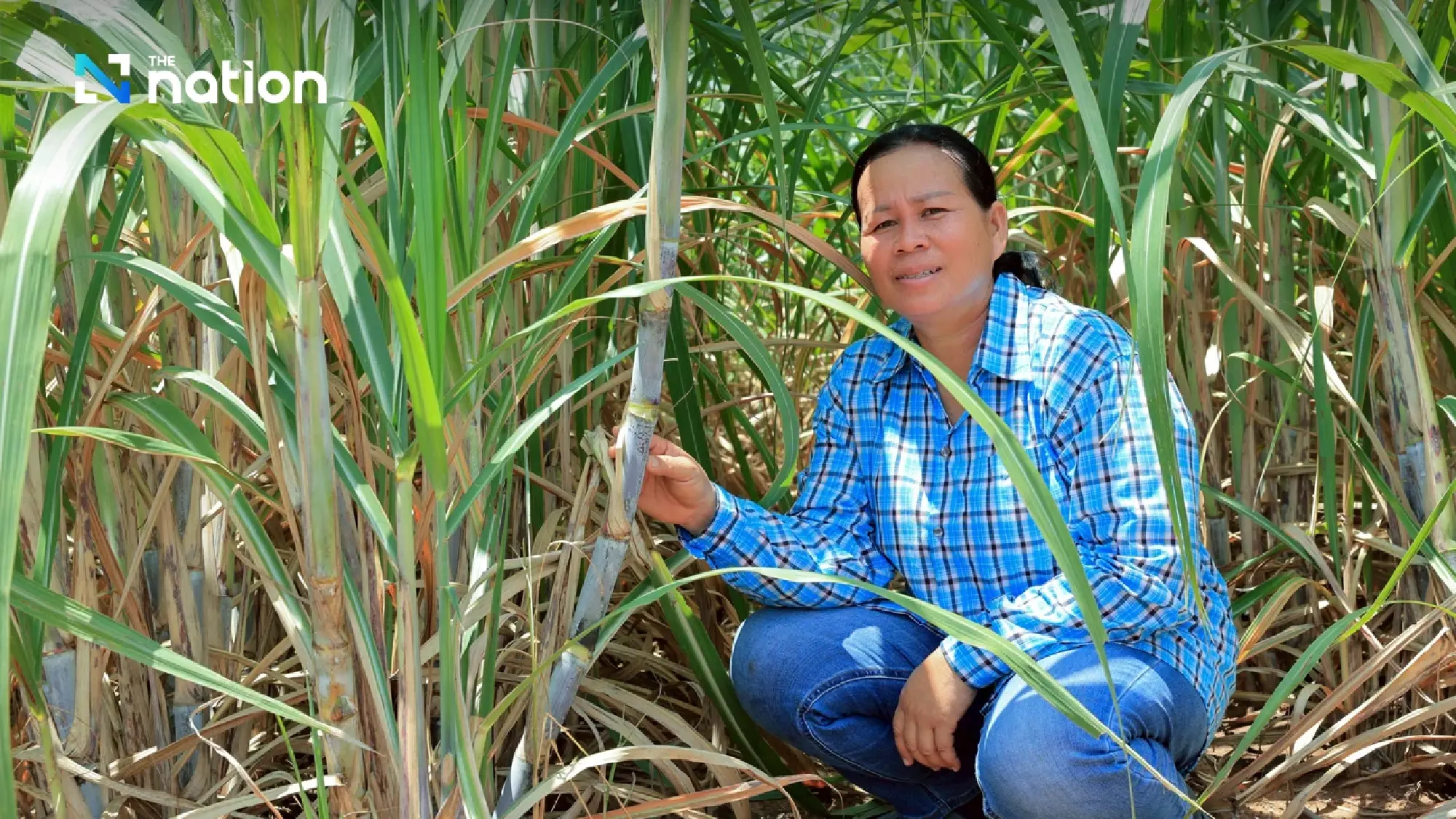 Mae Eiang (Butsakorn Khankang)