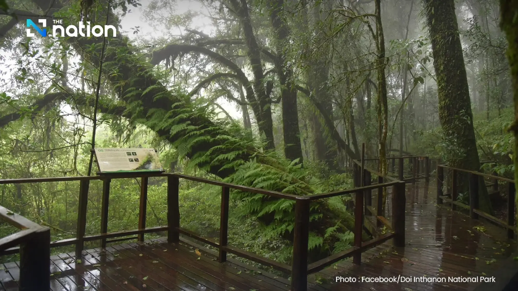 Winter chill returns as Bangkok cools; heavy rain, rough seas persist in south