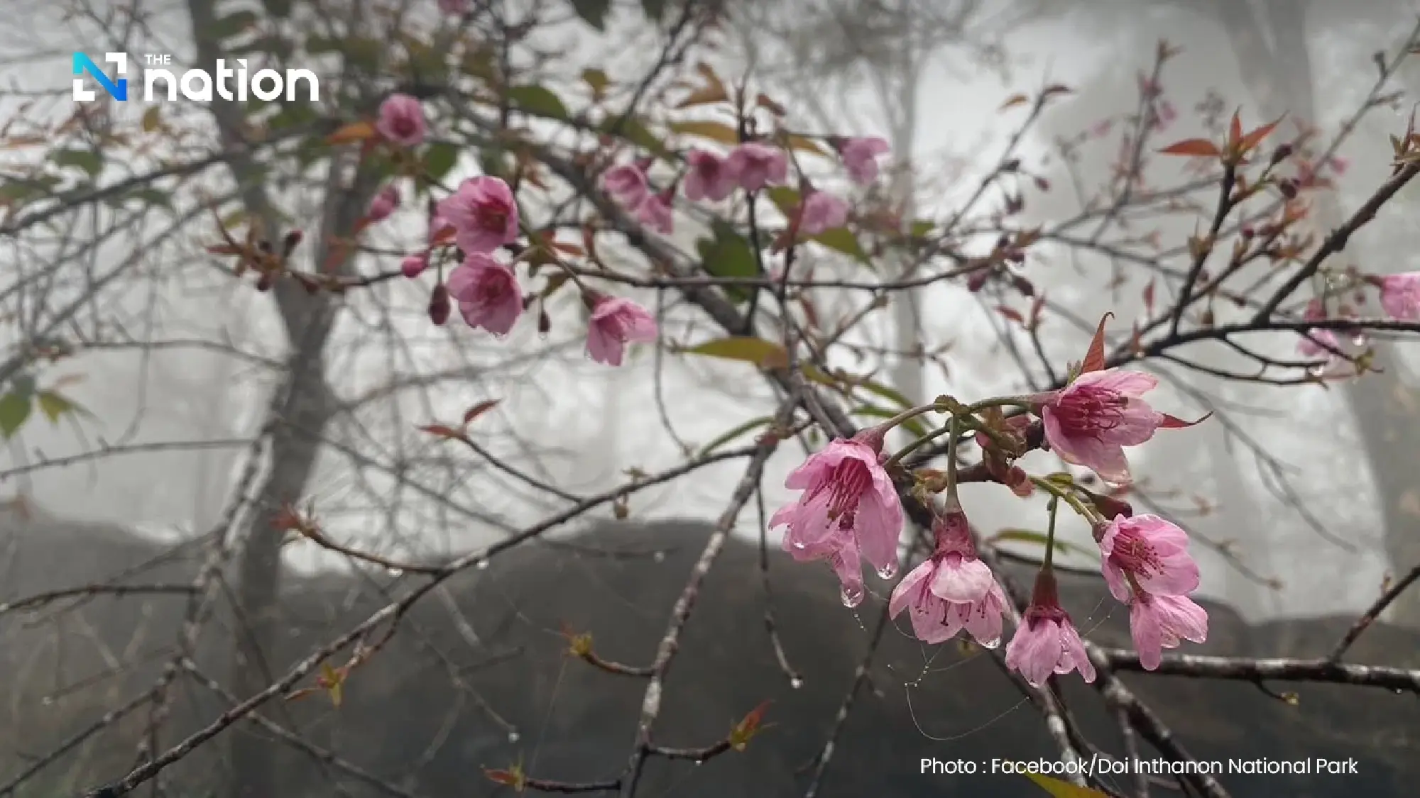 Winter chill returns as Bangkok cools; heavy rain, rough seas persist in south