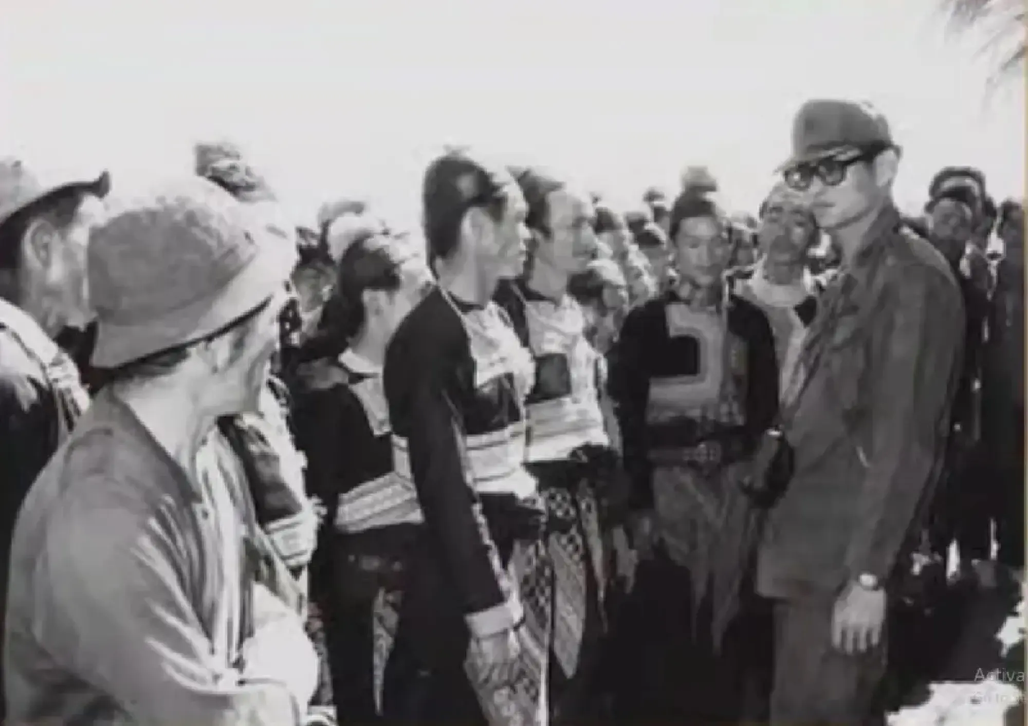 The Coffee Tree of 'Father': From Opium Fields to Arabica Forests