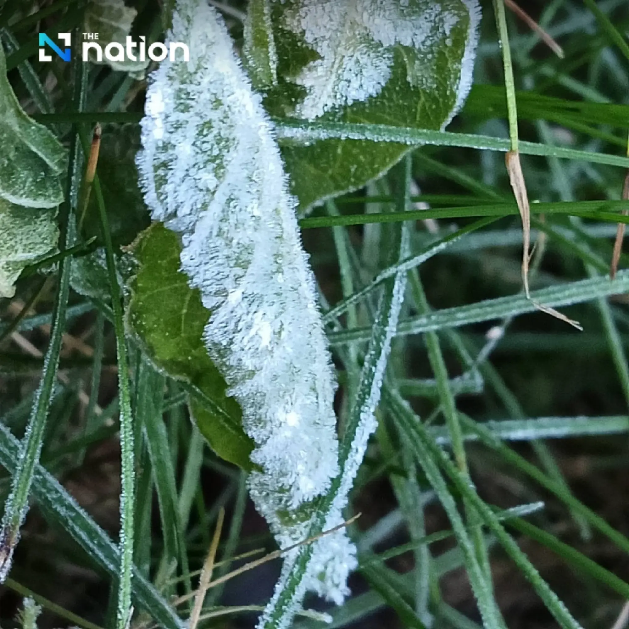 Doi Inthanon sees decline temperatures, attracting 6,000 tourists