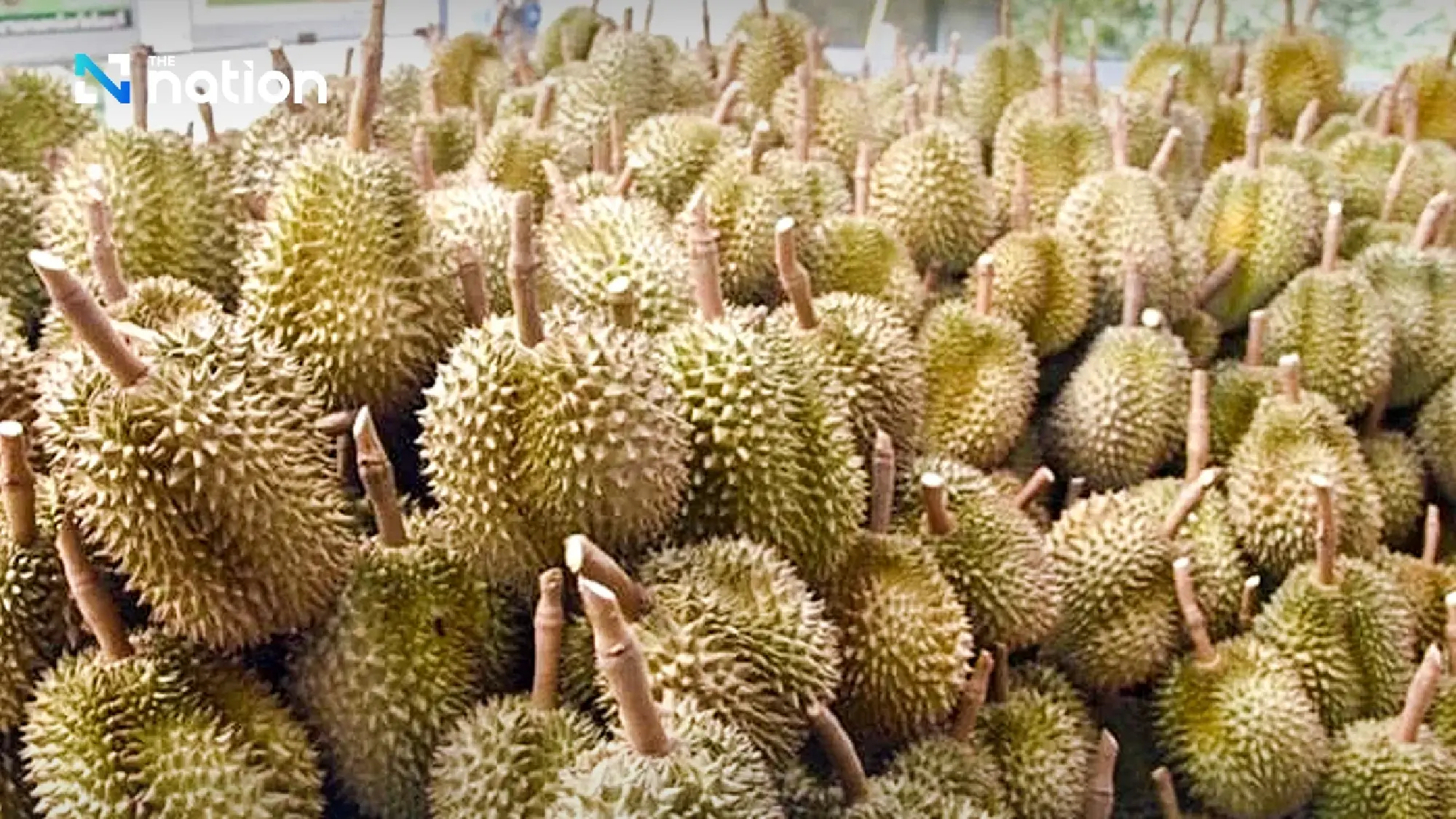 Laos wins China approval for fresh durian exports, challenging Thailand