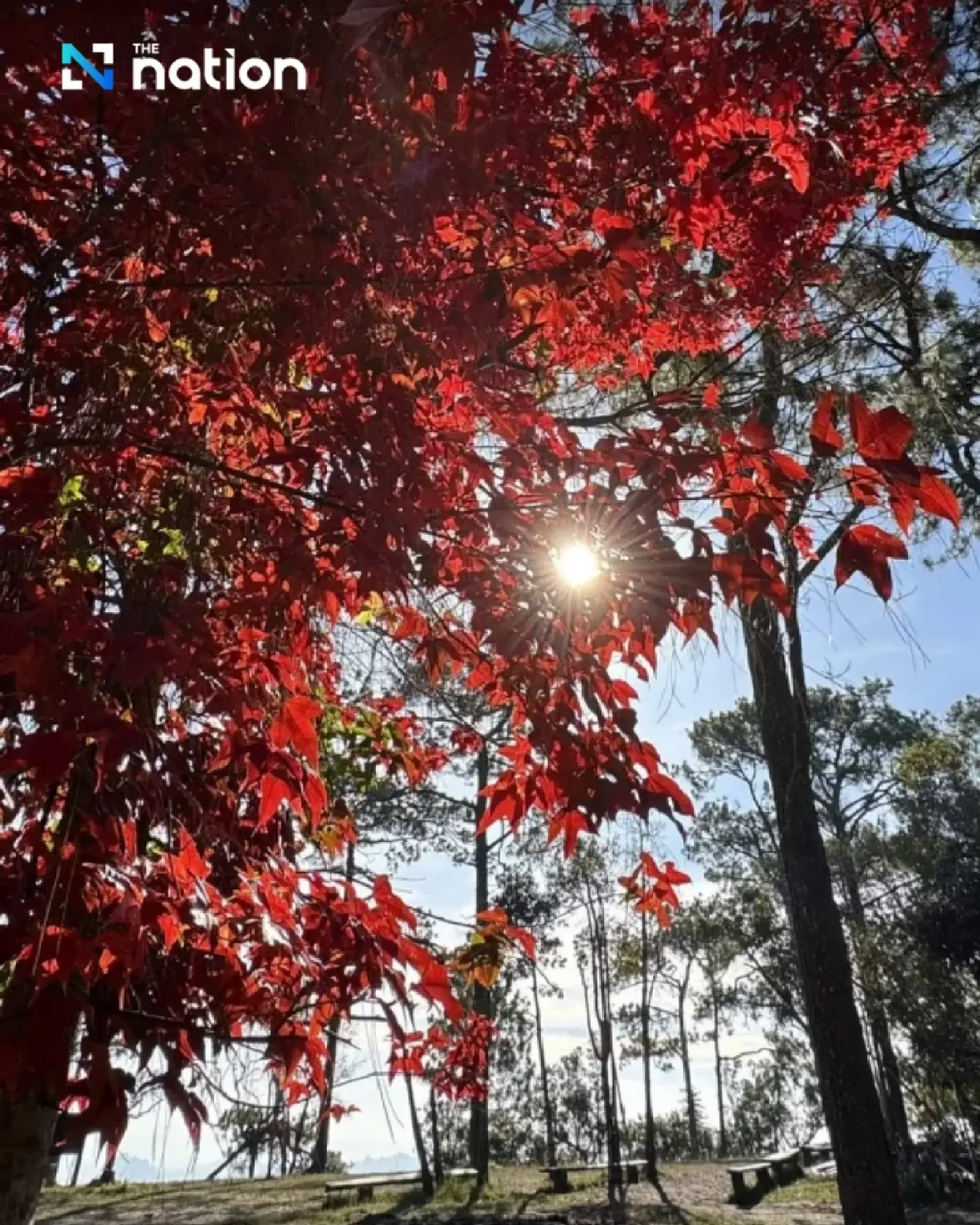 Three Phu Kradueng waterfalls reopened following 2024 elephant attack