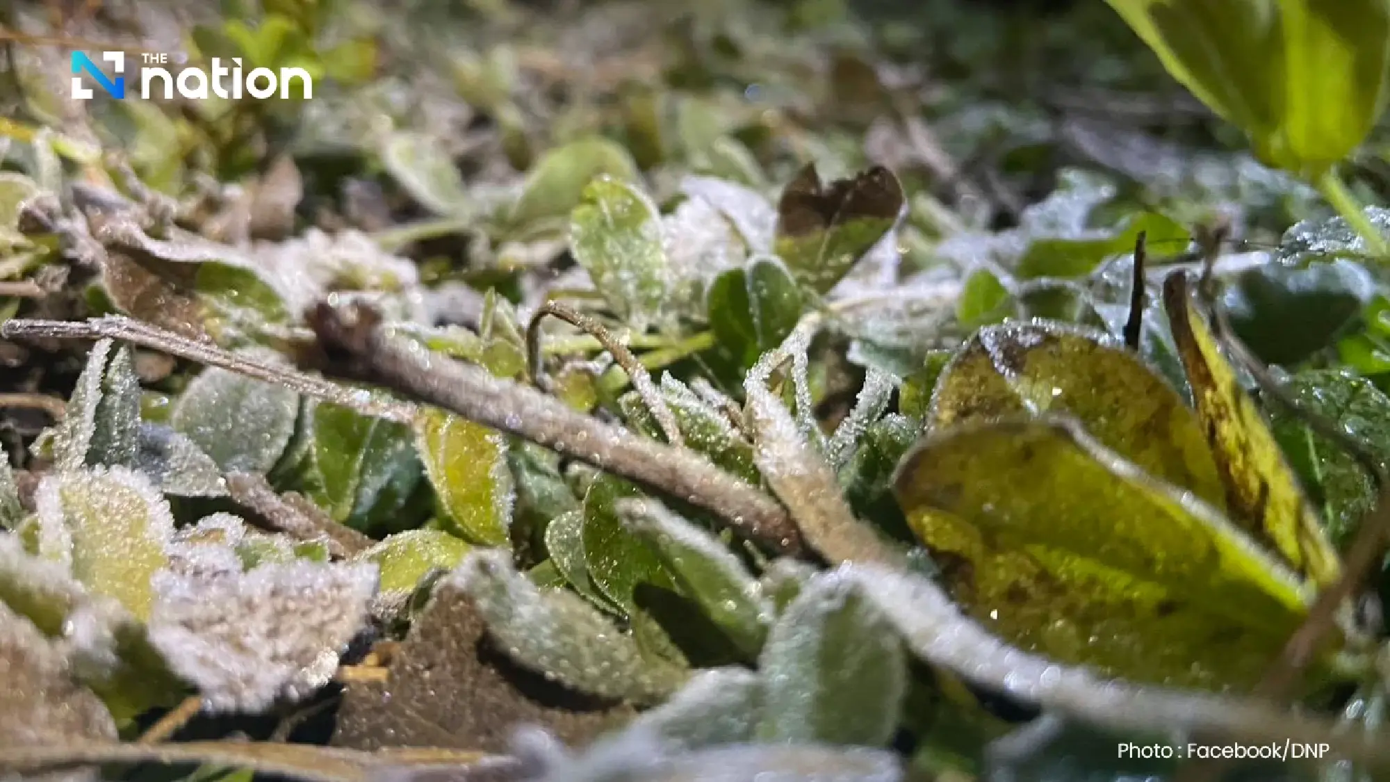 Cold air blankets upper Thailand; heavy rain and rough seas in the lower south