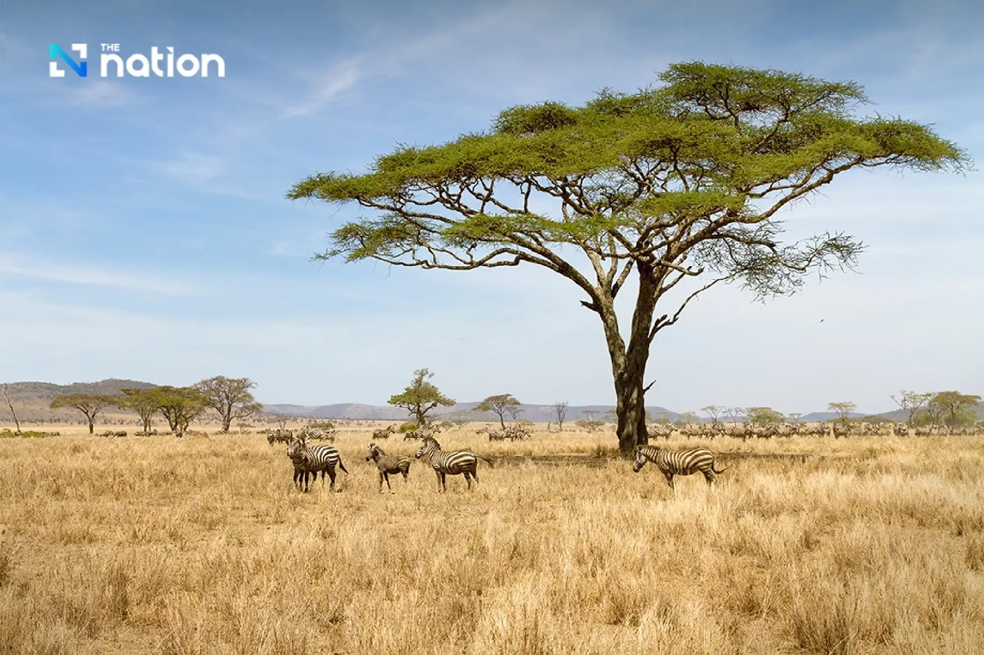 Kenya's Jamhuri Day Spotlights East Africa's Gateway and New Horizons for Thailand