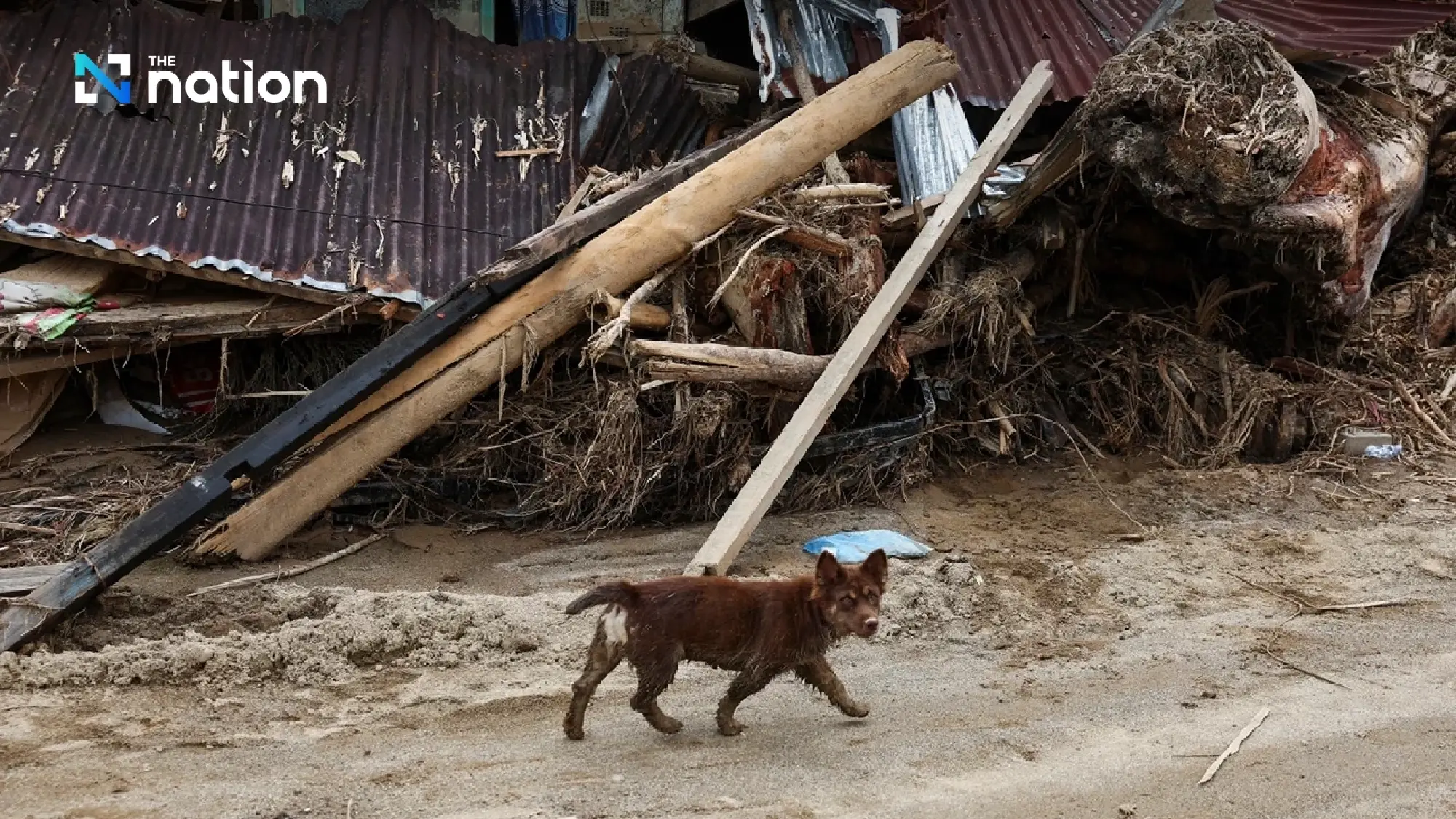 Indonesia cyclone floods leave 908 dead as calls grow for national disaster status