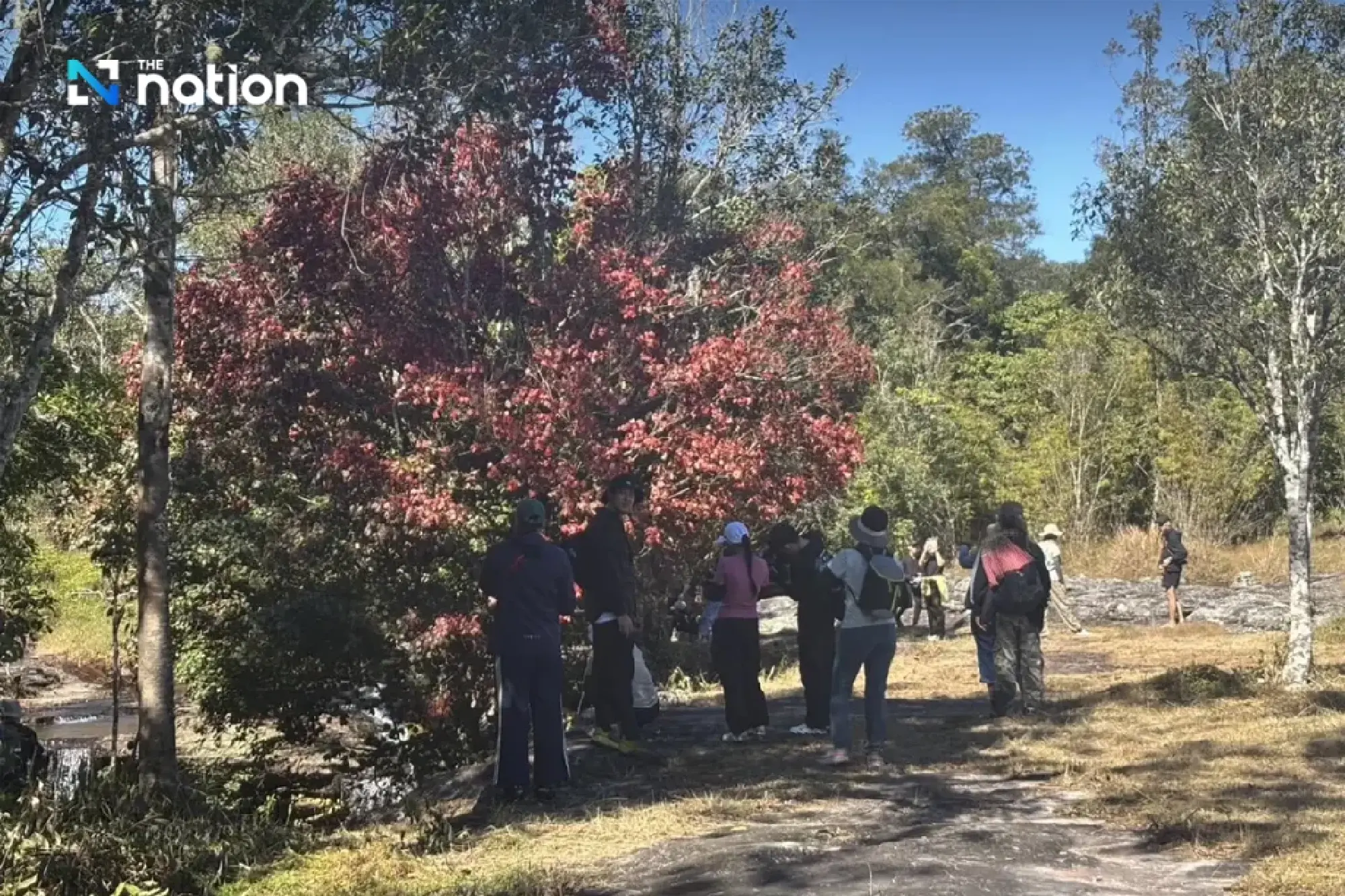 Three Phu Kradueng waterfalls reopened following 2024 elephant attack