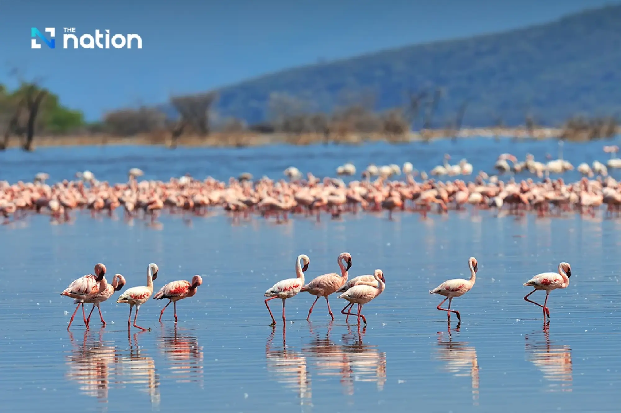 Kenya's Jamhuri Day Spotlights East Africa's Gateway and New Horizons for Thailand