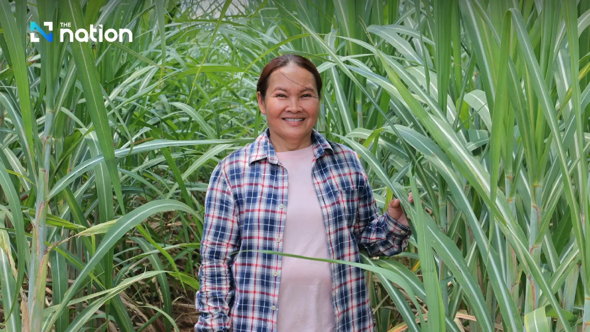 Mae Phap (Supap Chanthi)