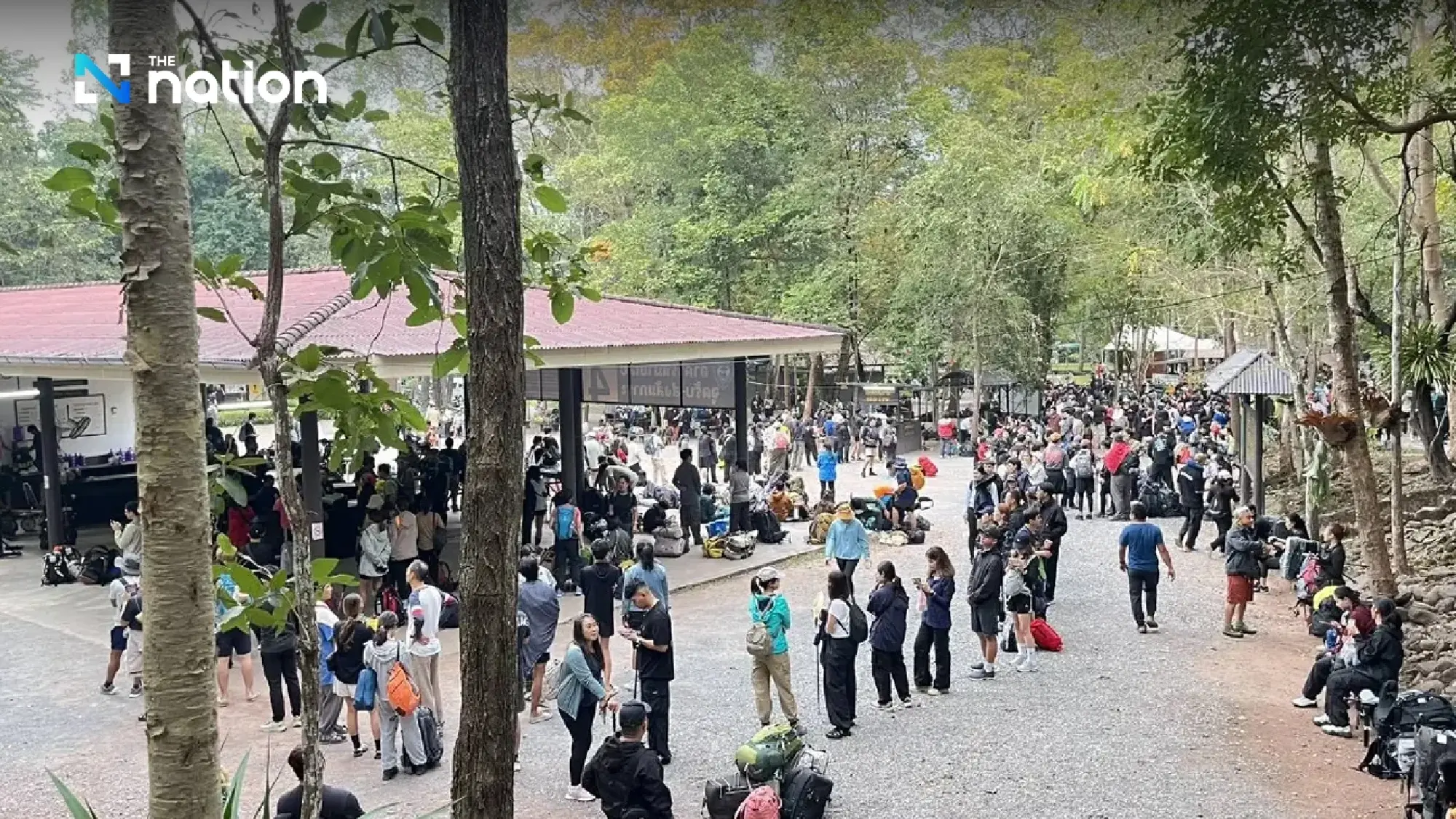 Free Admission on Father’s Day: Phu Kradueng National Park Bustles with Over 2,500 Visitors