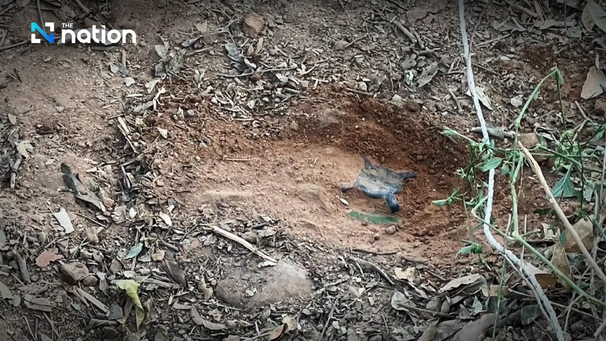 Army says four more PMN-2 mines found near Surin blast site, vows to raise case internationally