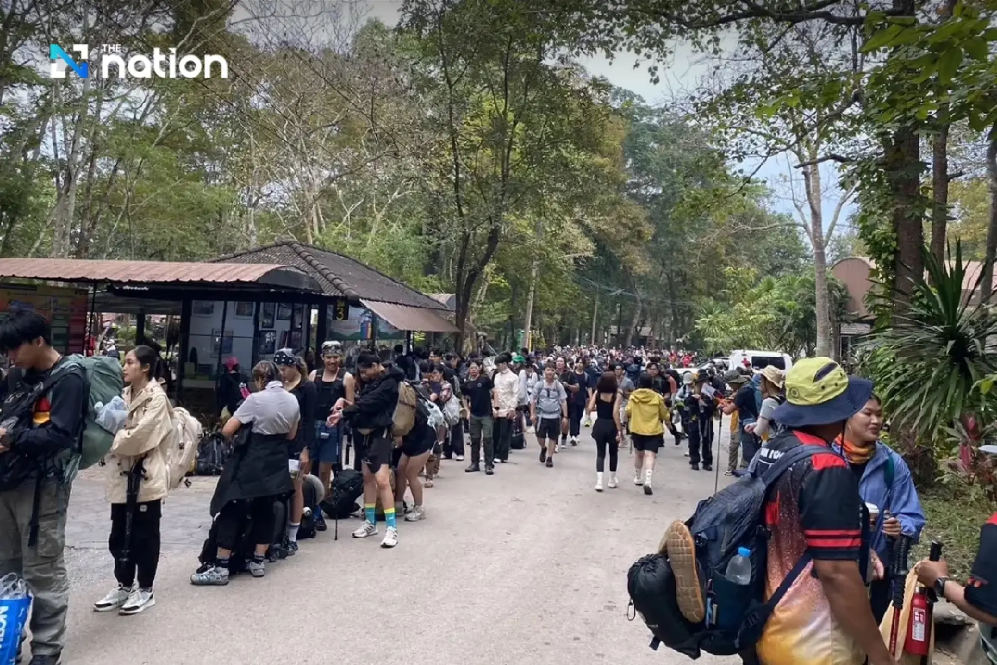 Free Admission on Father’s Day: Phu Kradueng National Park Bustles with Over 2,500 Visitors