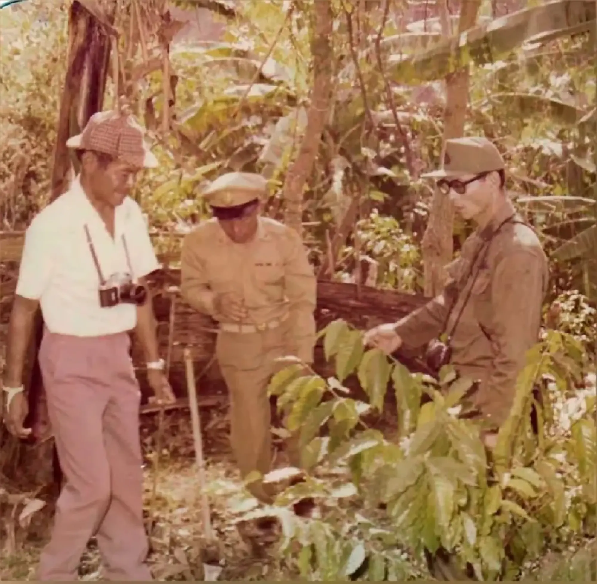 The Coffee Tree of 'Father': From Opium Fields to Arabica Forests