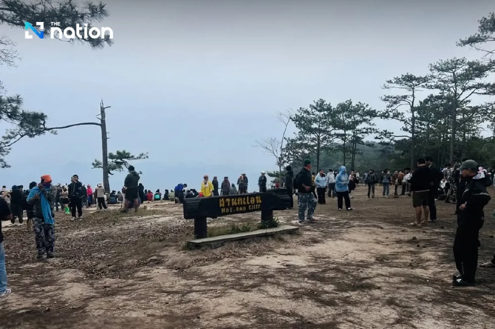 Free Admission on Father’s Day: Phu Kradueng National Park Bustles with Over 2,500 Visitors