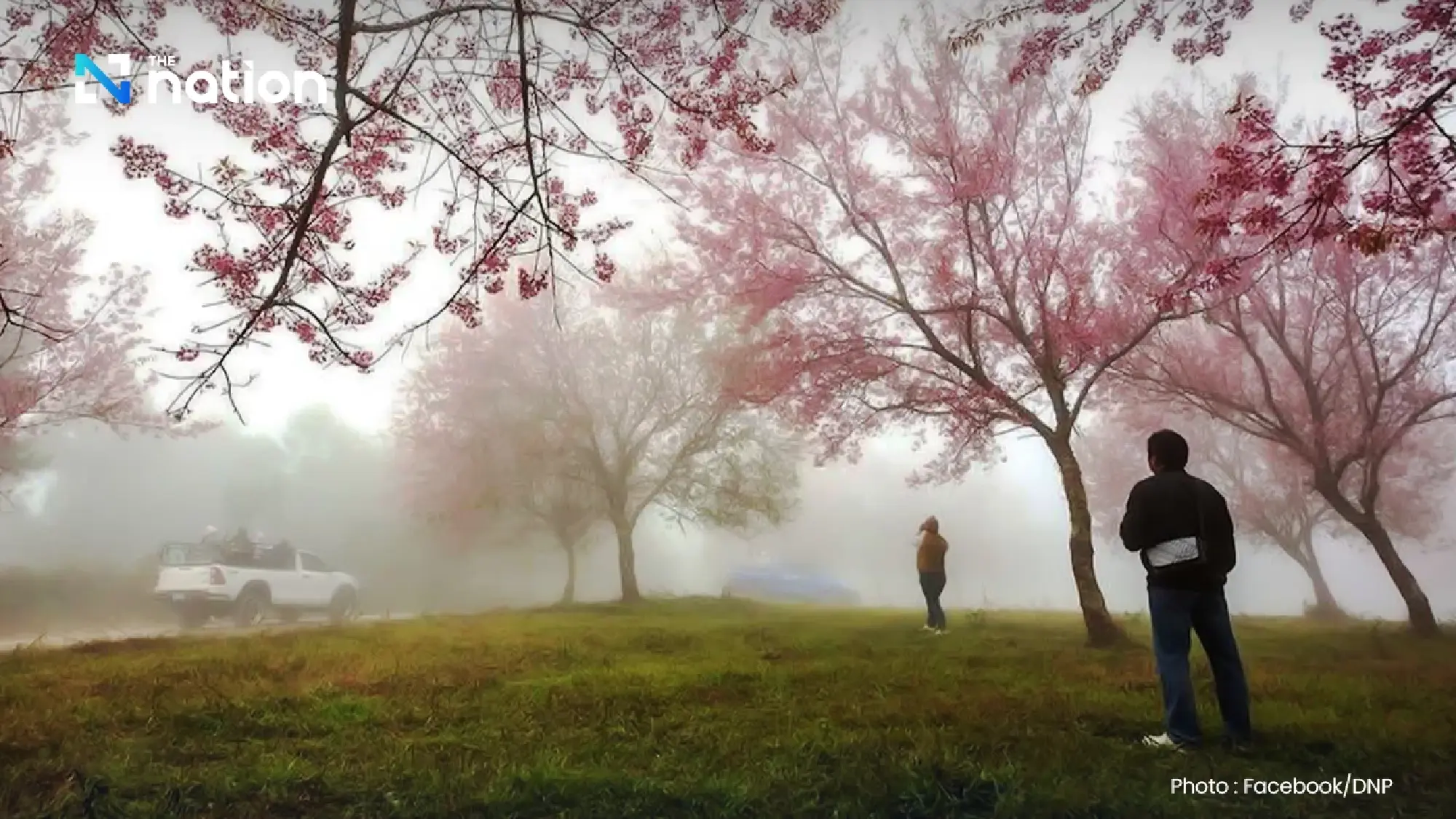 Cold air blankets upper Thailand; heavy rain and rough seas in the lower south
