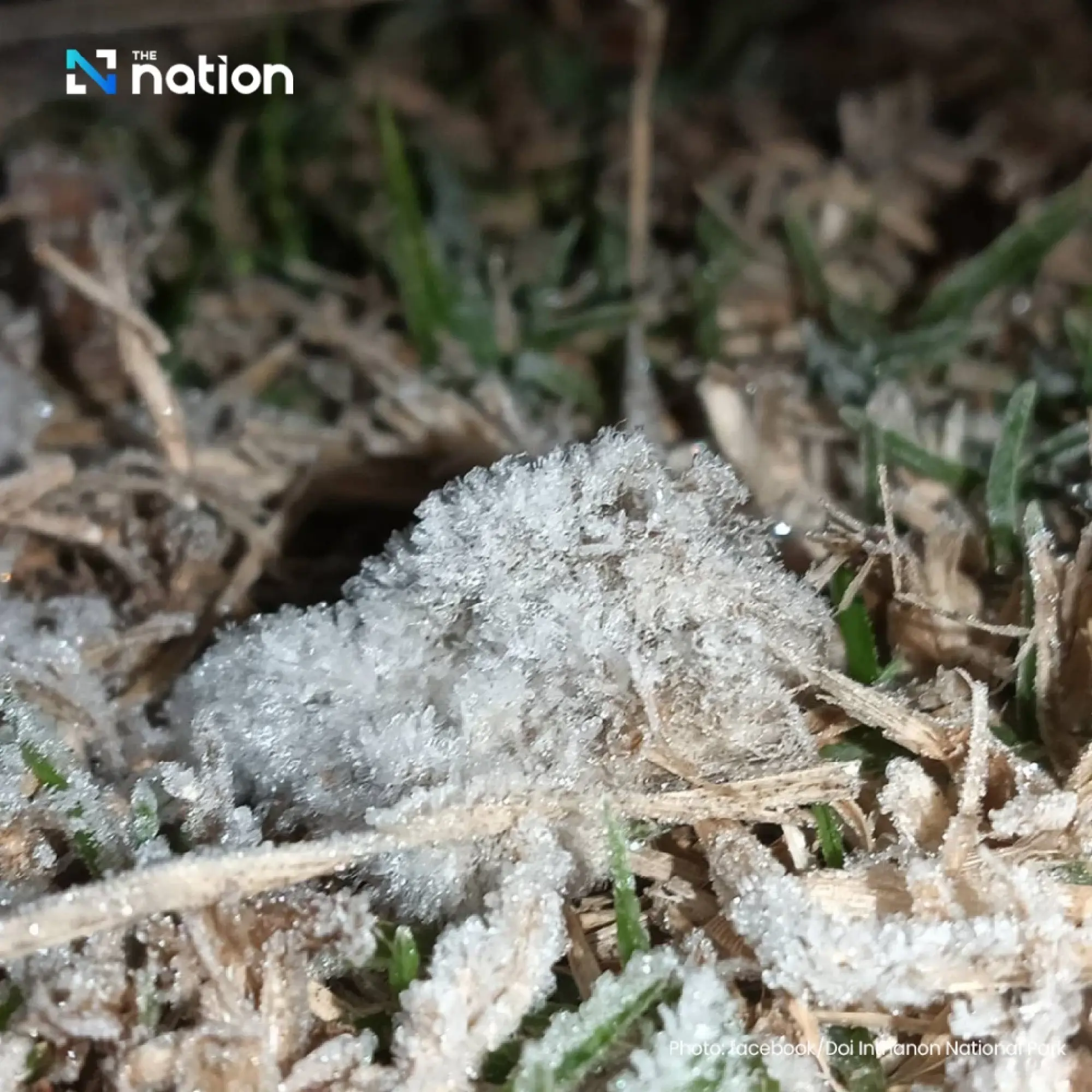 Upper Thailand stays cold as high pressure lingers; Southern showers fade