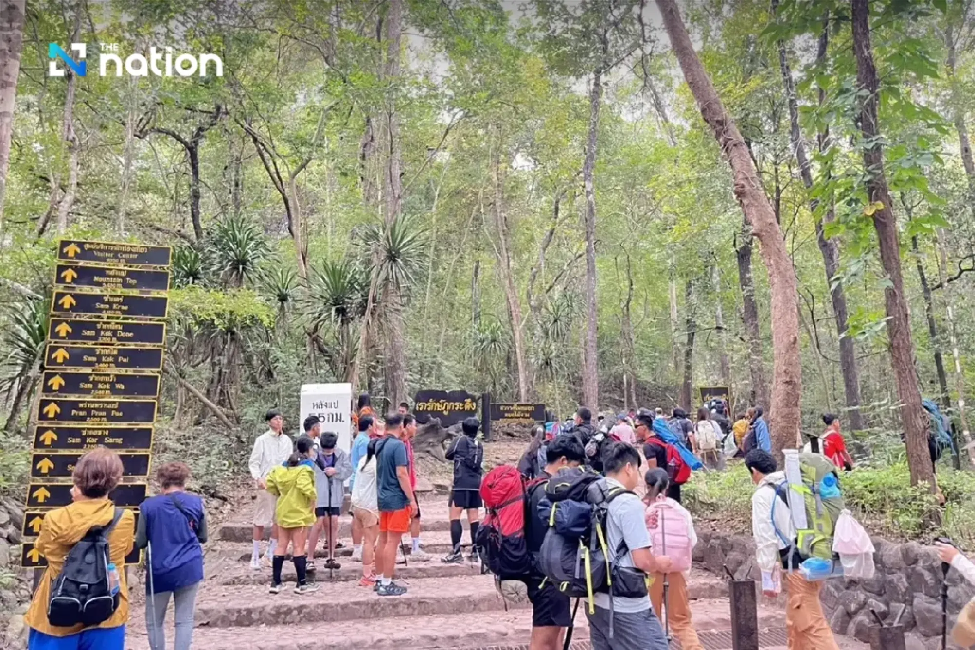 Free Admission on Father’s Day: Phu Kradueng National Park Bustles with Over 2,500 Visitors