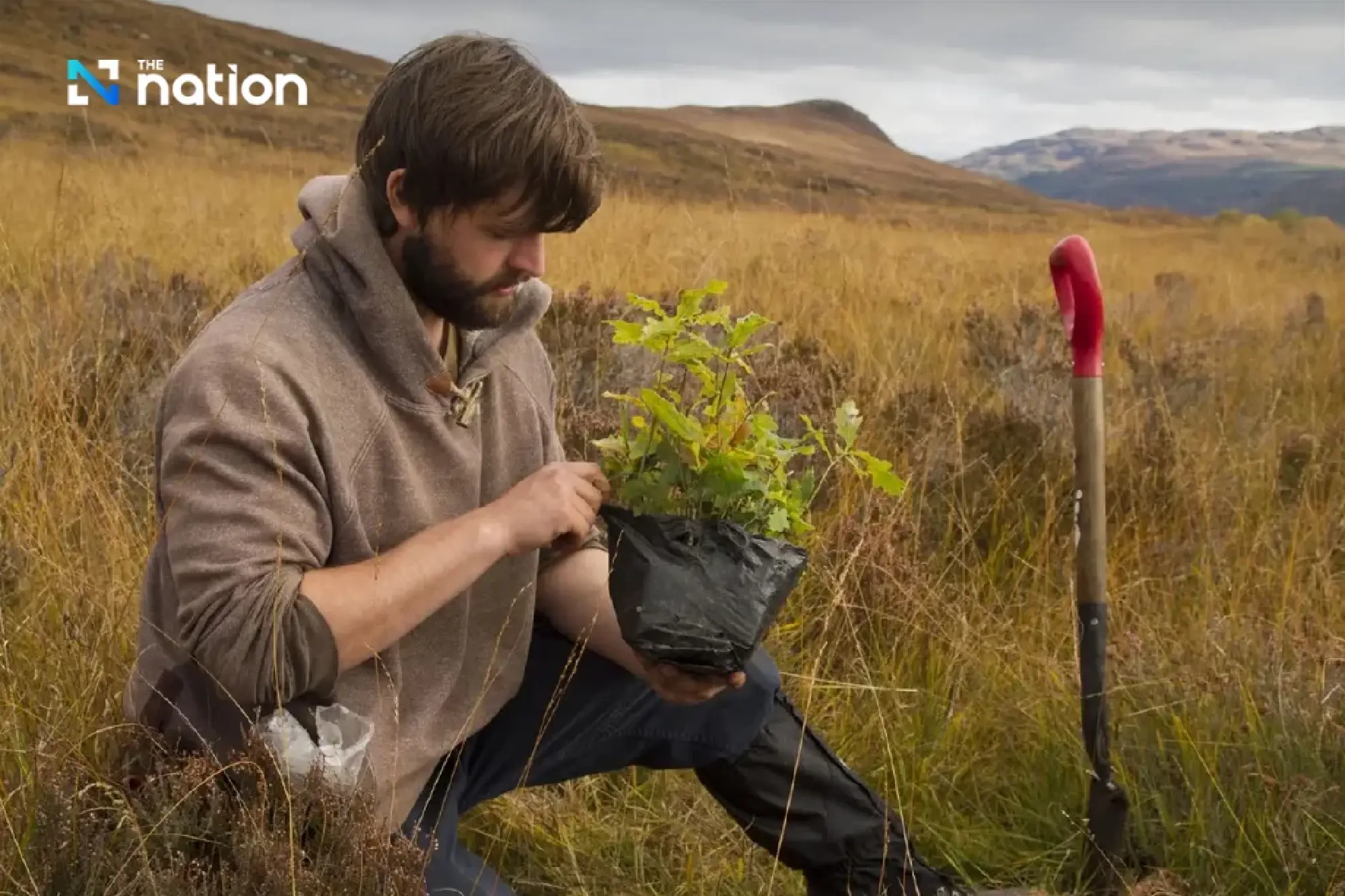 Regeneracation: New travel trend that restores nature