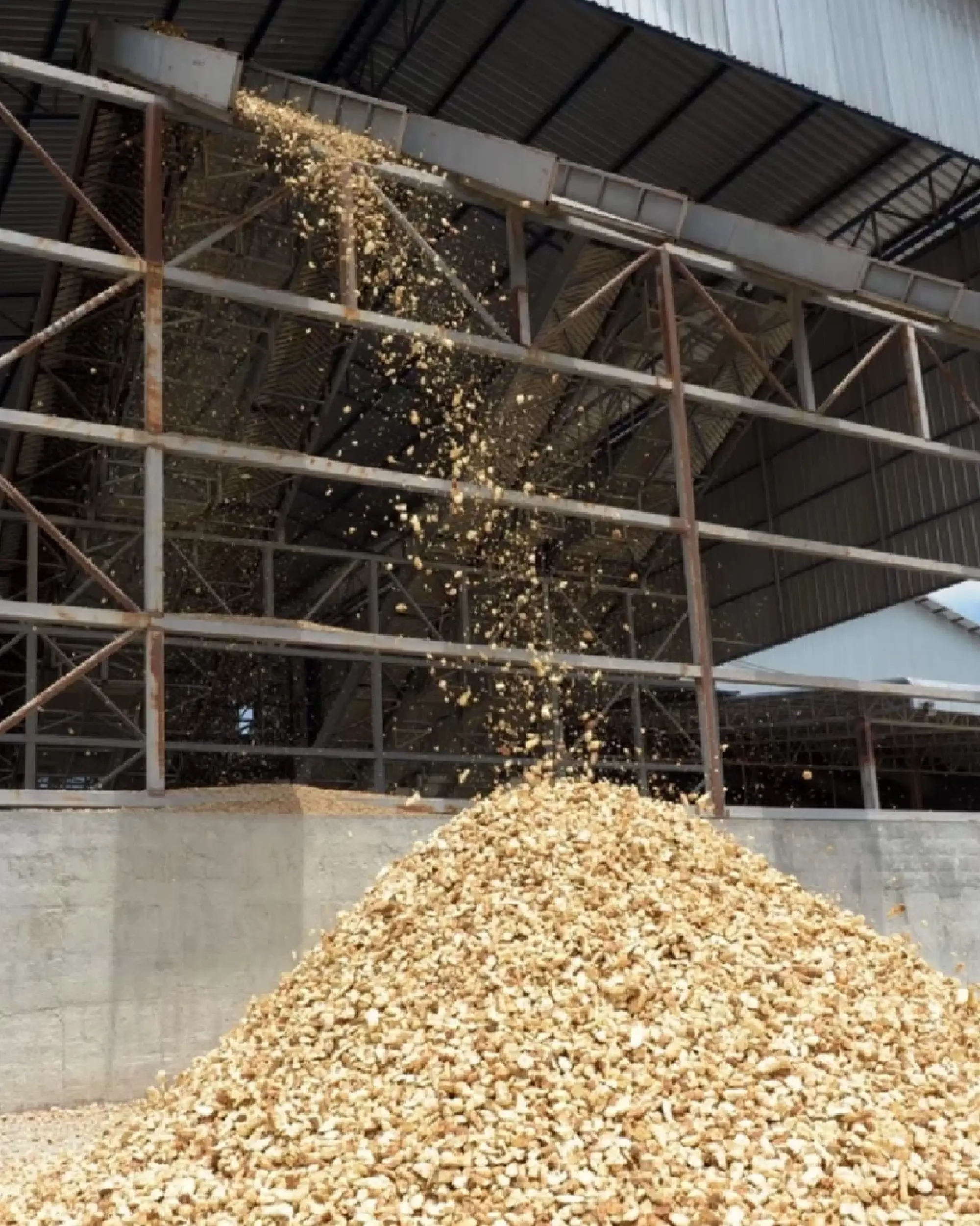 Commerce Ministry suspends nine tapioca chip importers over substandard quality