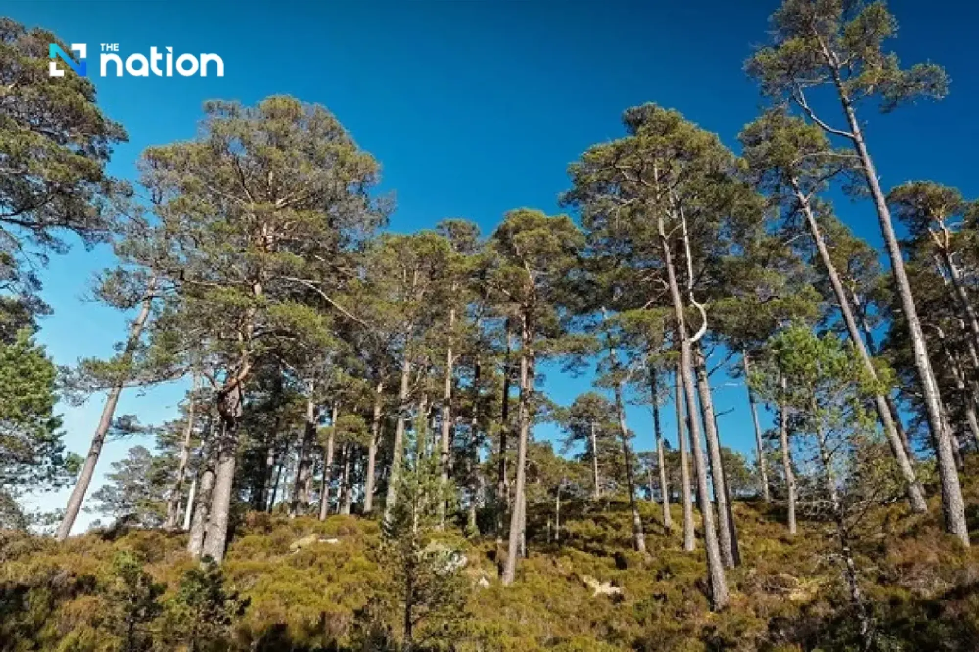 Regeneracation: New travel trend that restores nature