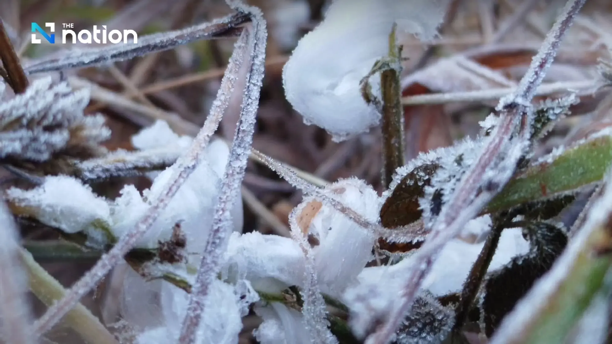 Doi Inthanon treated with hoar frost on New Year morning