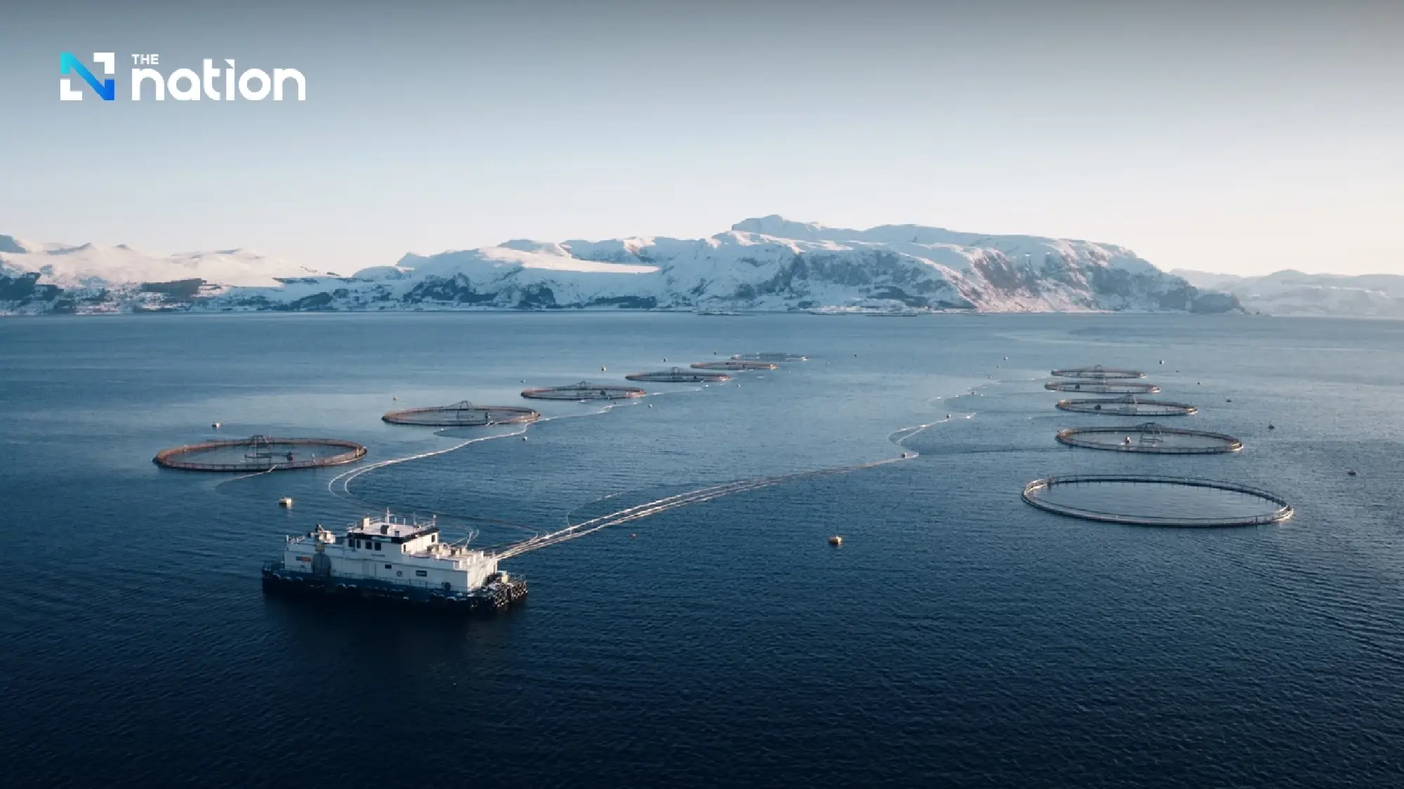 CP AXTRA and Mowi Partner to Strengthen Thailand’s First End-to-End Premium Salmon Supply Chain