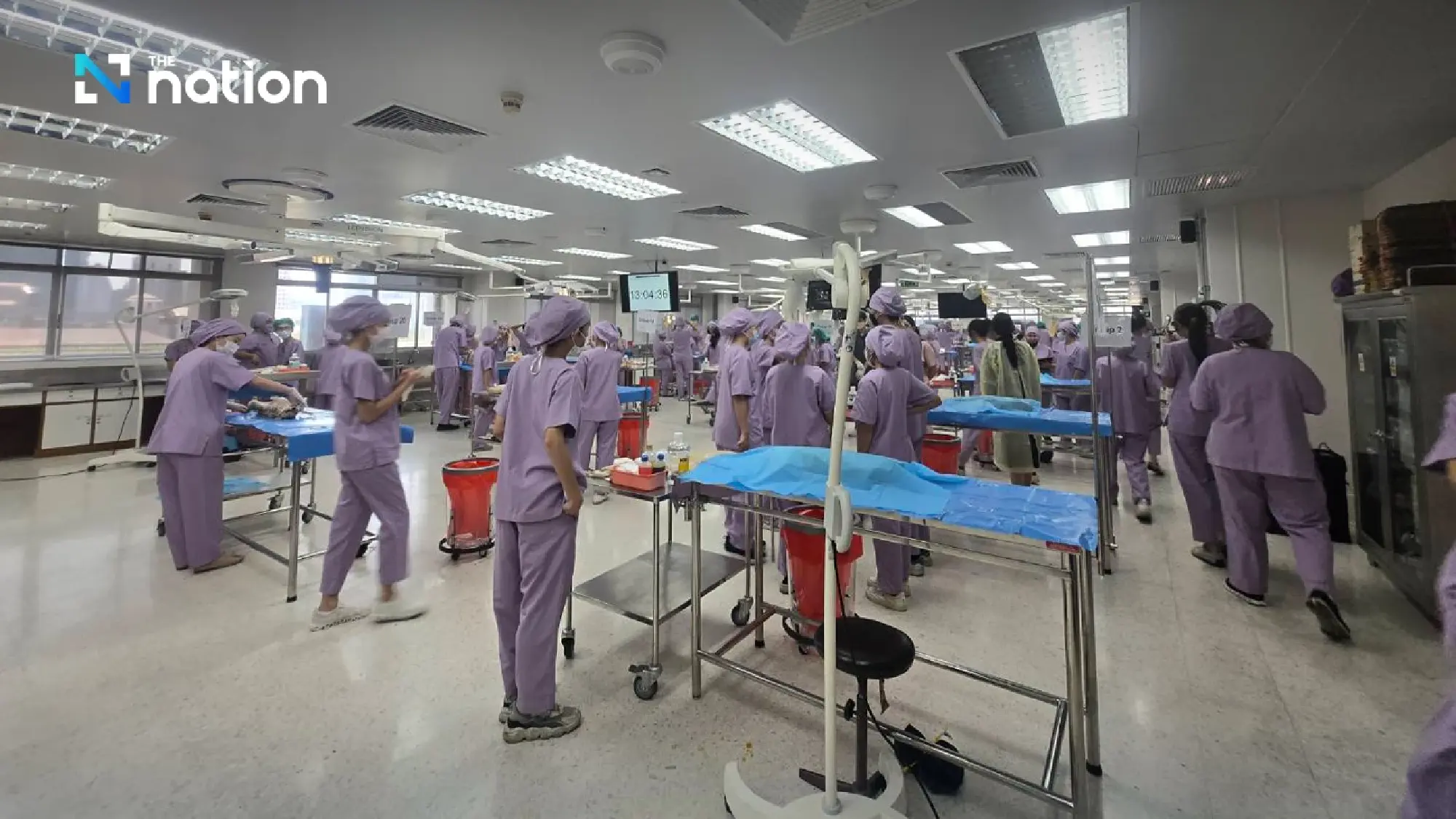 Final Gift of Love: How Donated Pets Become Teachers for the Next Generation of Vets