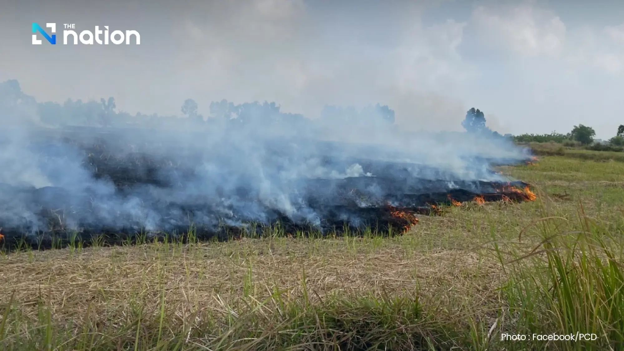 PM2.5 surges as PCD explains open-burning laws and penalties