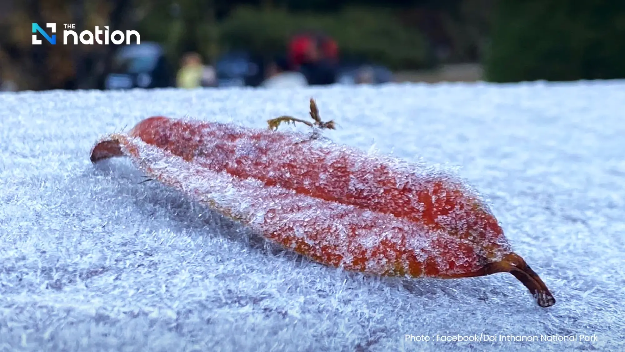 Cold snap all week: temps to drop 1-3°C in upper Thailand, South to see more rain