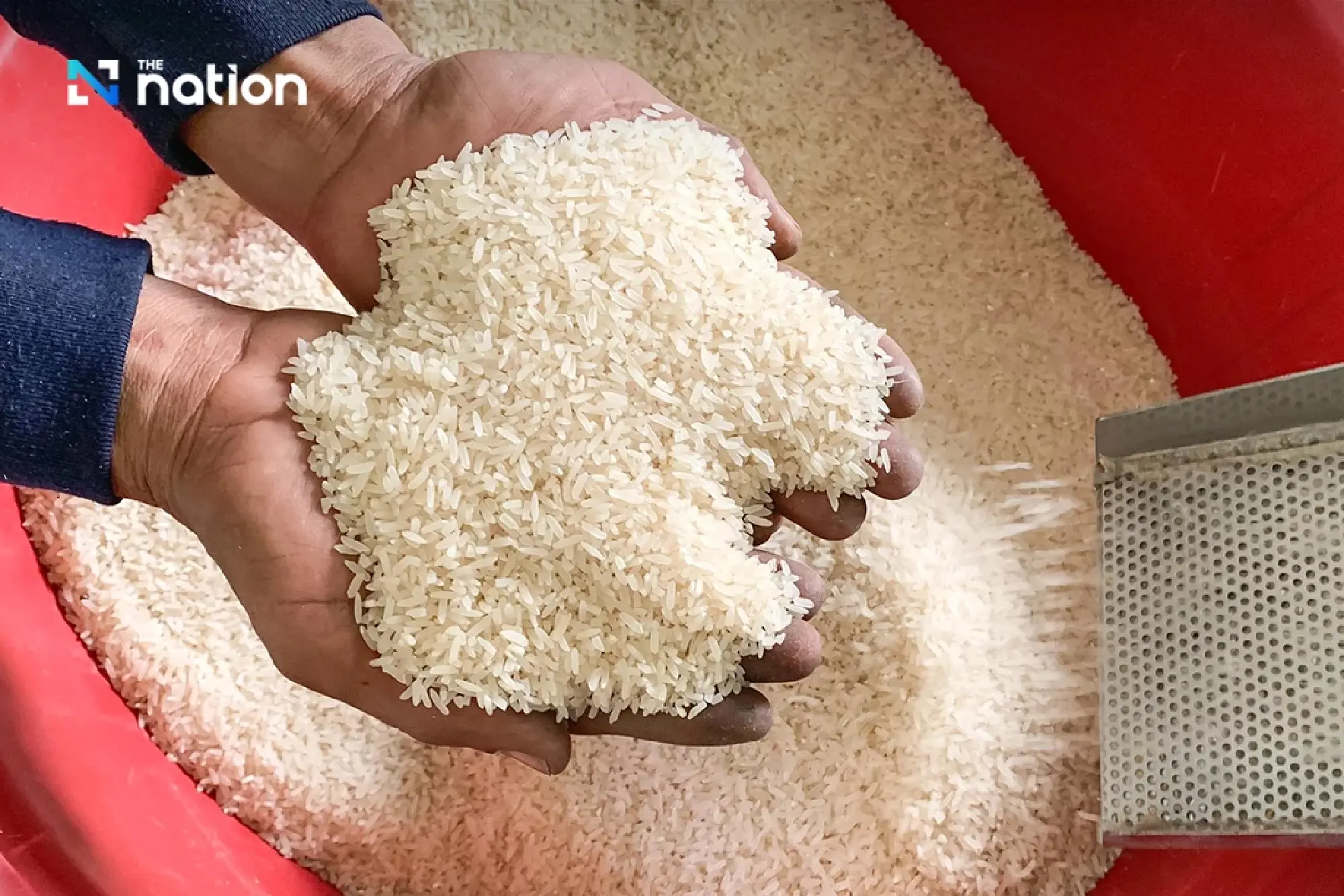 Thailand–China 100,000-tonne rice deal delayed amid approval hurdles