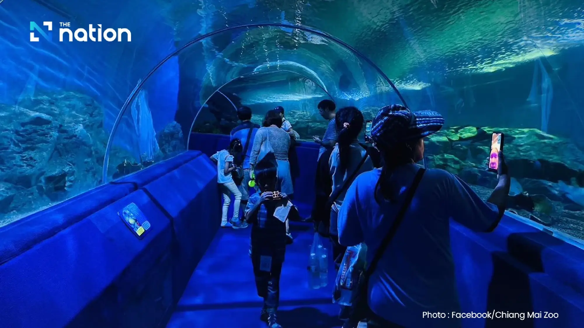 Children and seniors get free entry to six zoos for National Children’s Day