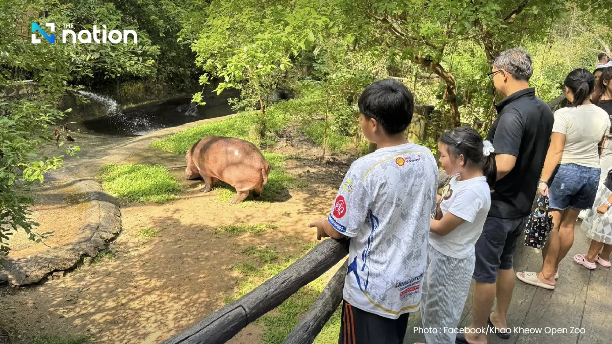 Children and seniors get free entry to six zoos for National Children’s Day
