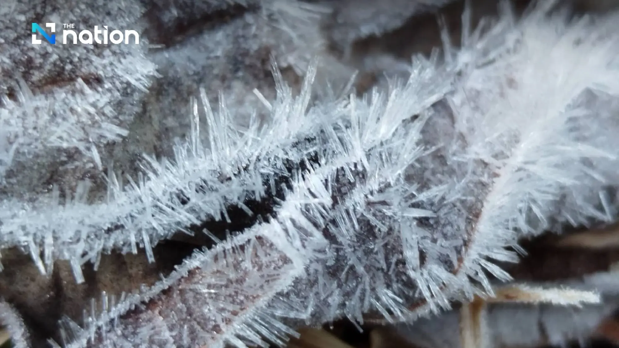 Doi Inthanon treated with hoar frost on New Year morning