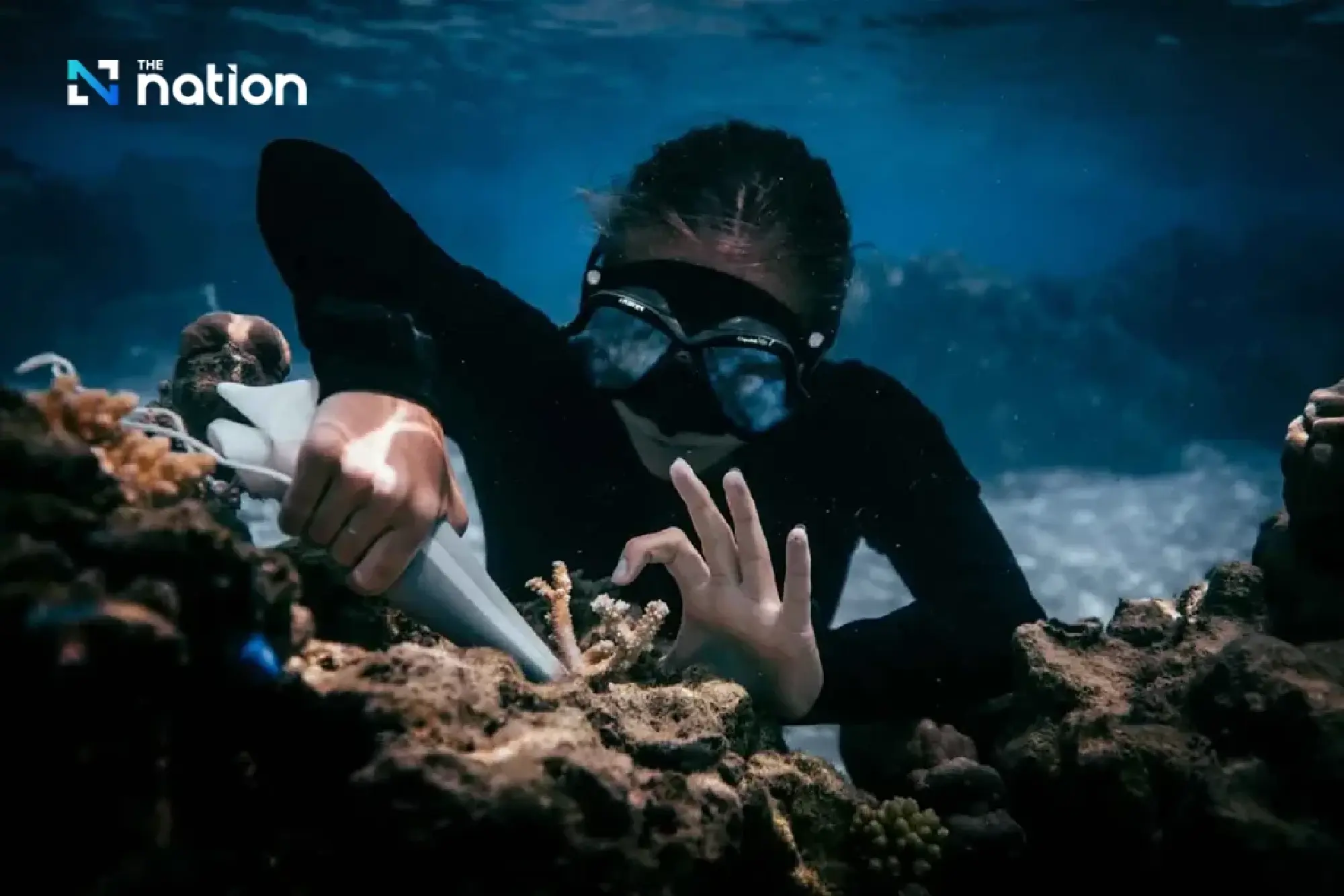 Regeneracation: New travel trend that restores nature