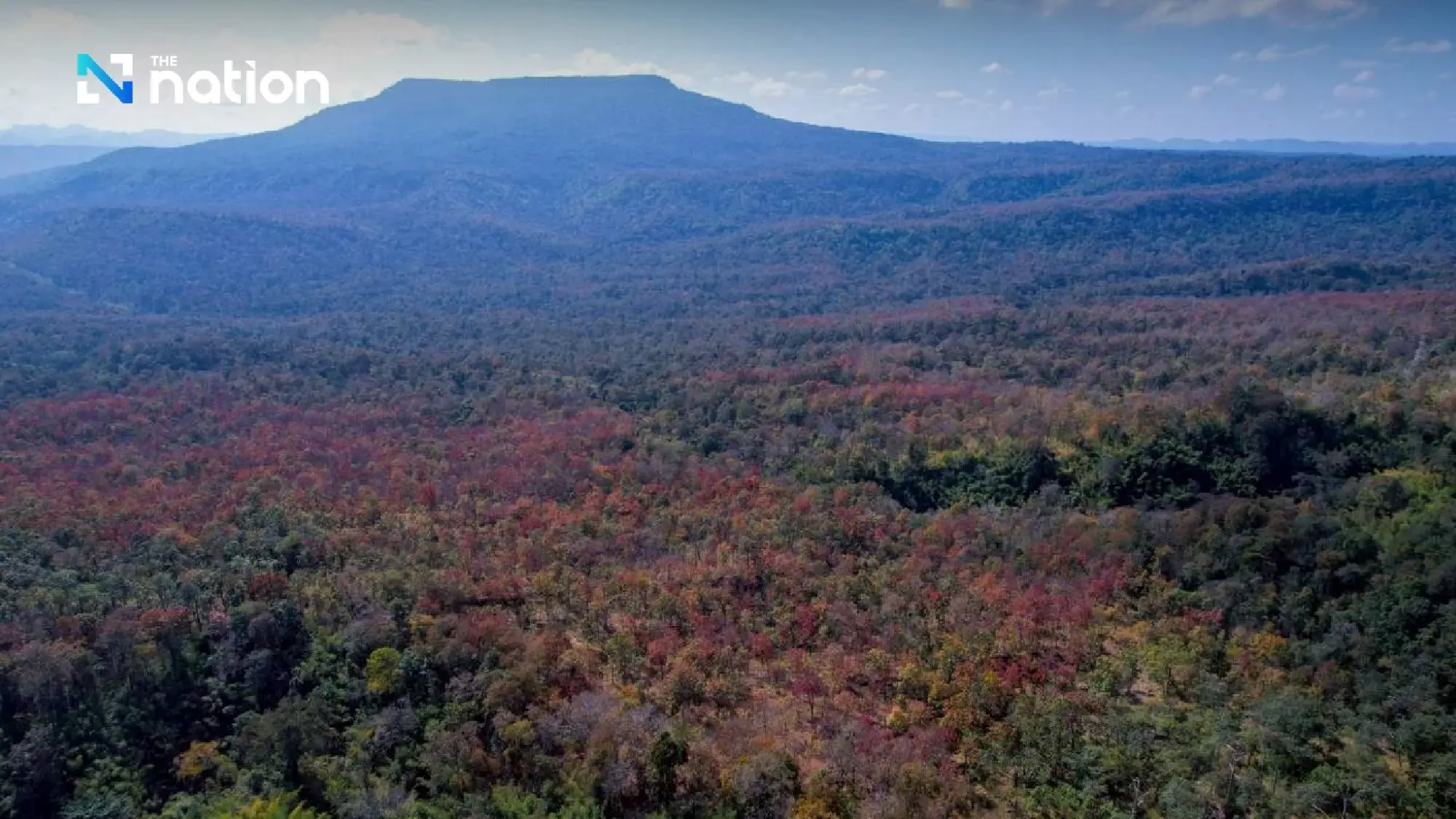 The ‘colour-changing forest’ phenomenon: a spectacular palette in Nam Nao Forest, Phetchabun