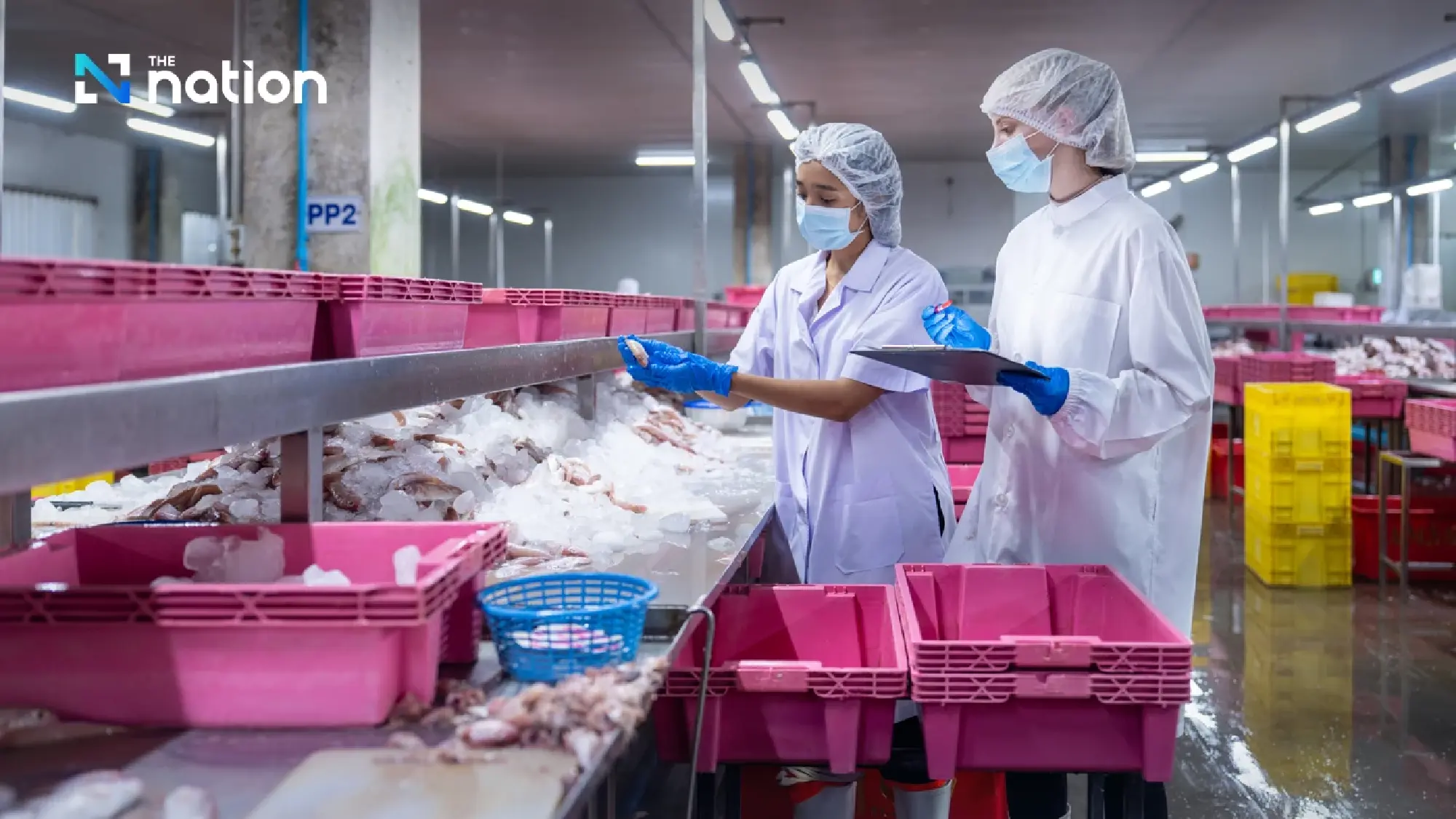 Thai Livestock Sector Primed for 2026 Growth as ‘Rising Stars’ Target Global Markets