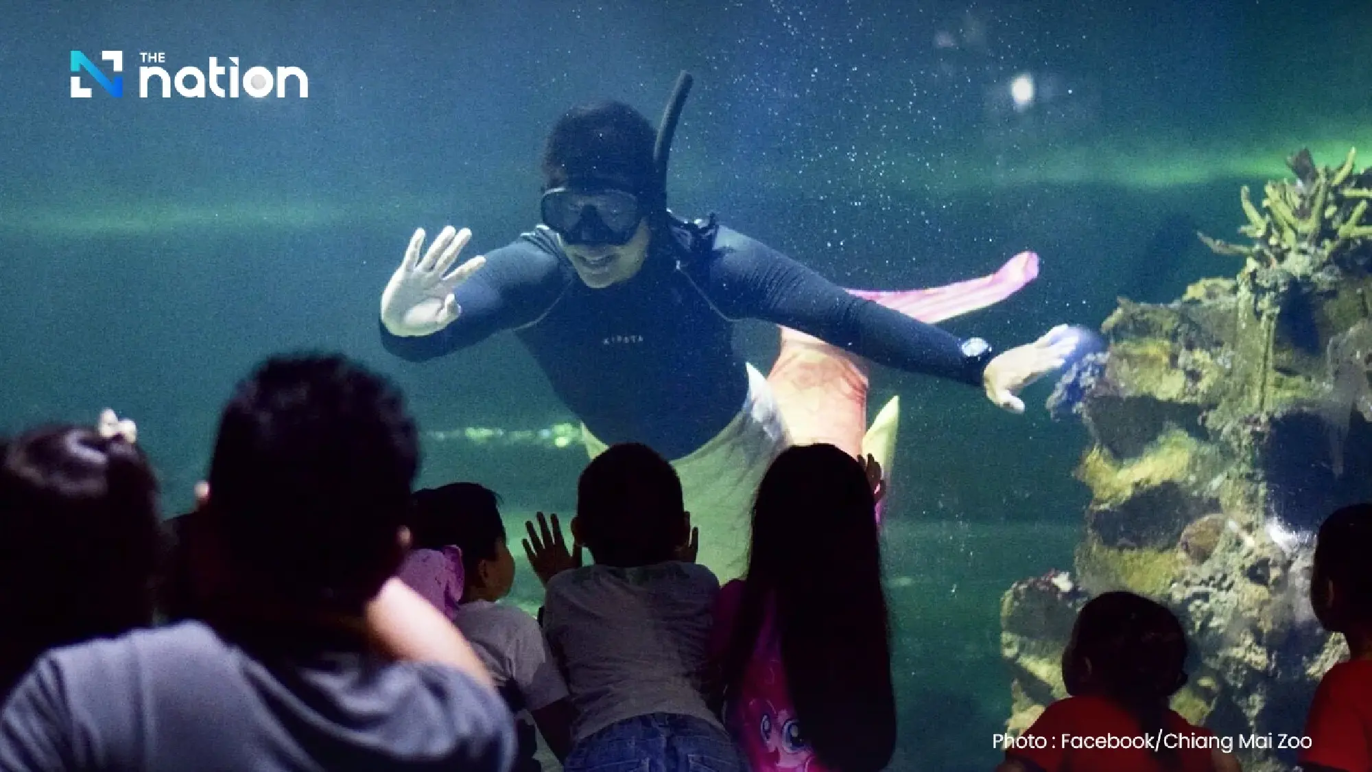 Children and seniors get free entry to six zoos for National Children’s Day