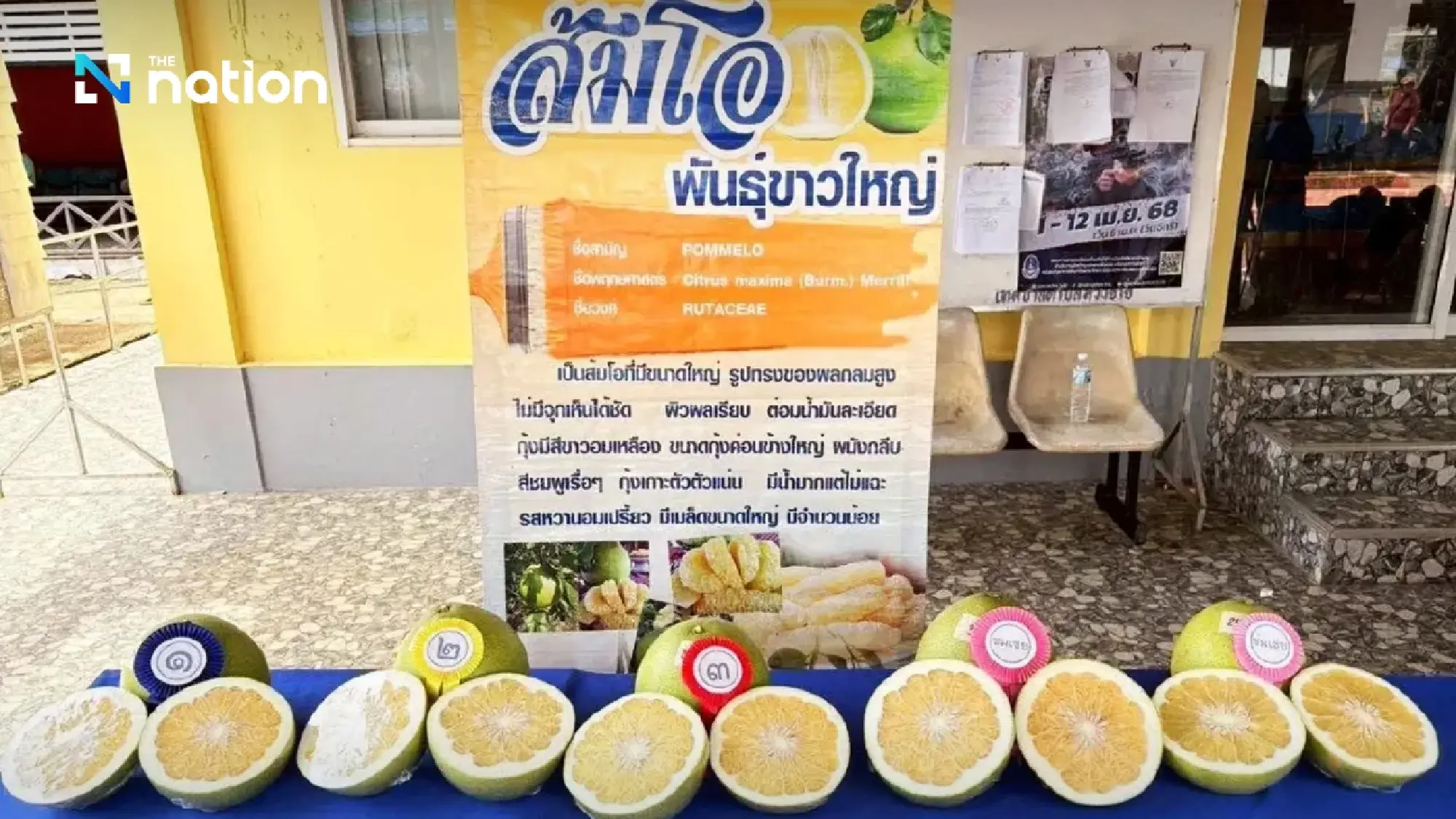 Chiang Rai’s Wiang Kaen pomelo registered as ninth GI product