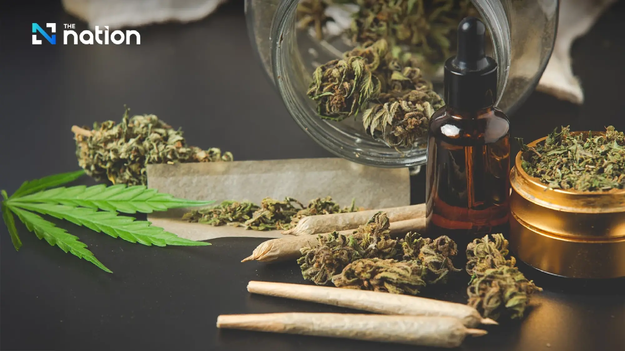 Anti-ganja group demands political parties clearly announce their stand on cannabis