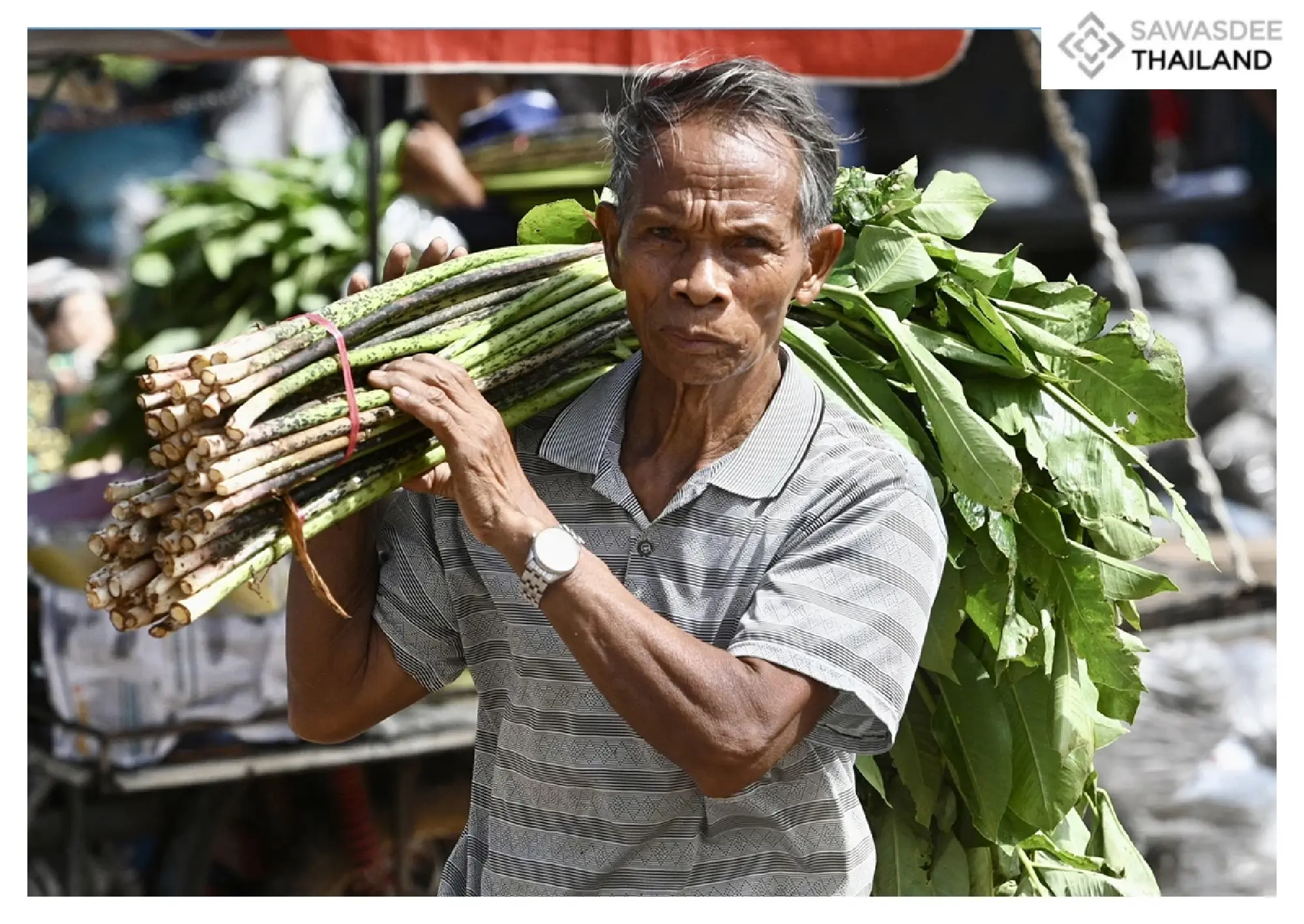 Thailand's Border Crisis Assistance: Navigating the Economic Aftermath of the Cambodian Clashes