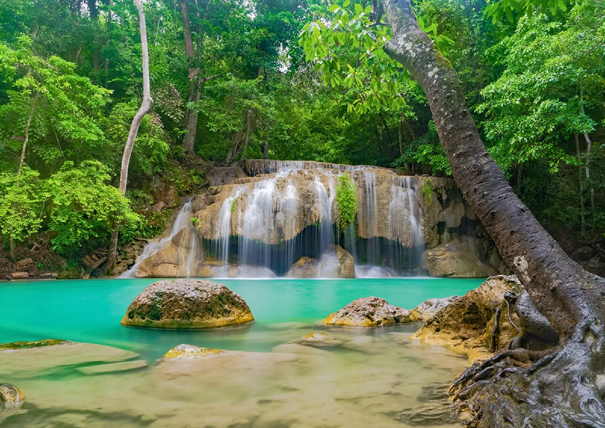 From peaks to Phi Phi: five national parks to see in Thailand