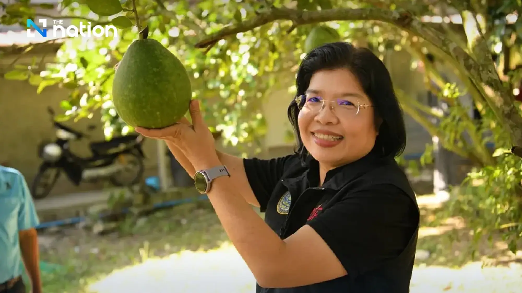 Chiang Rai’s Wiang Kaen pomelo registered as ninth GI product
