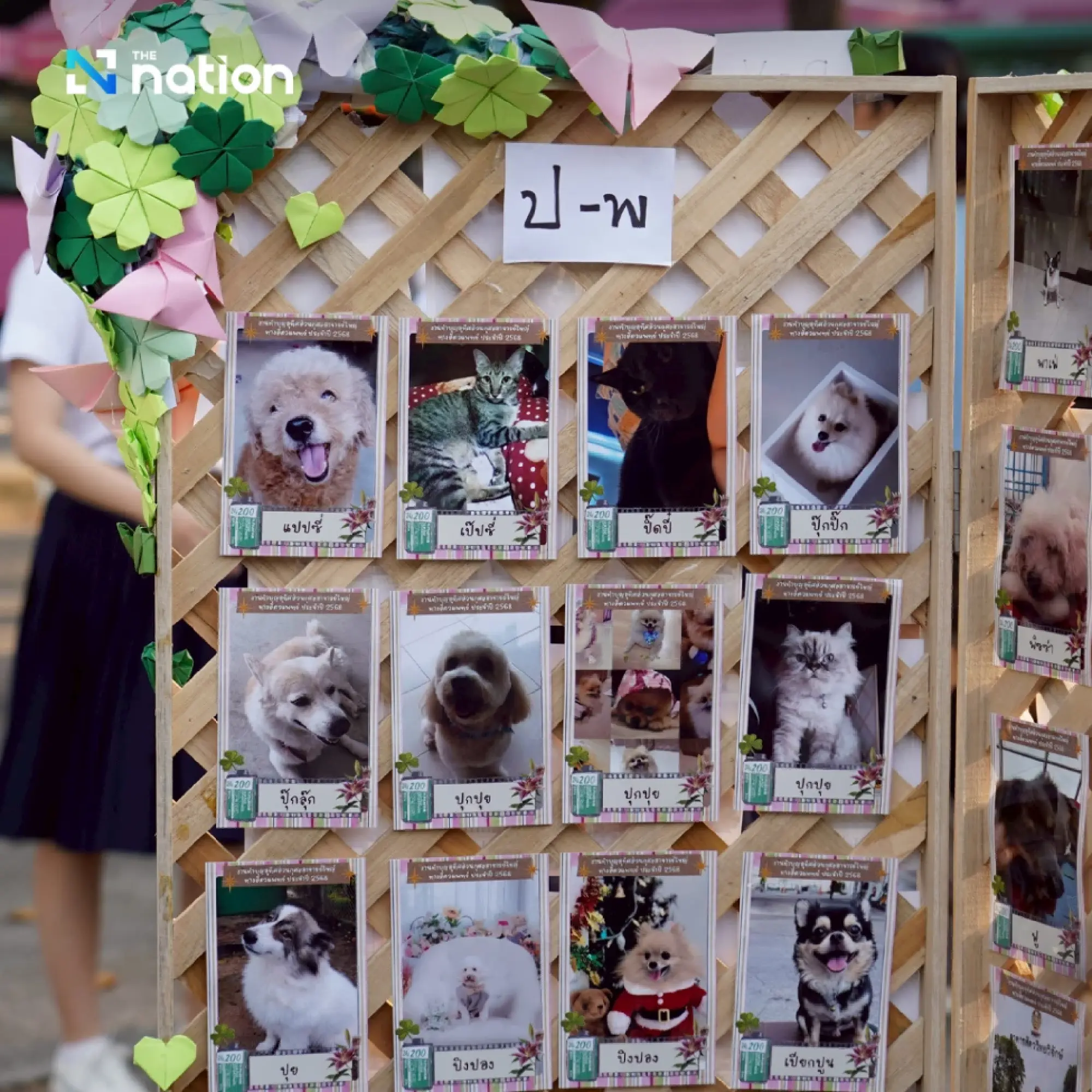 Final Gift of Love: How Donated Pets Become Teachers for the Next Generation of Vets