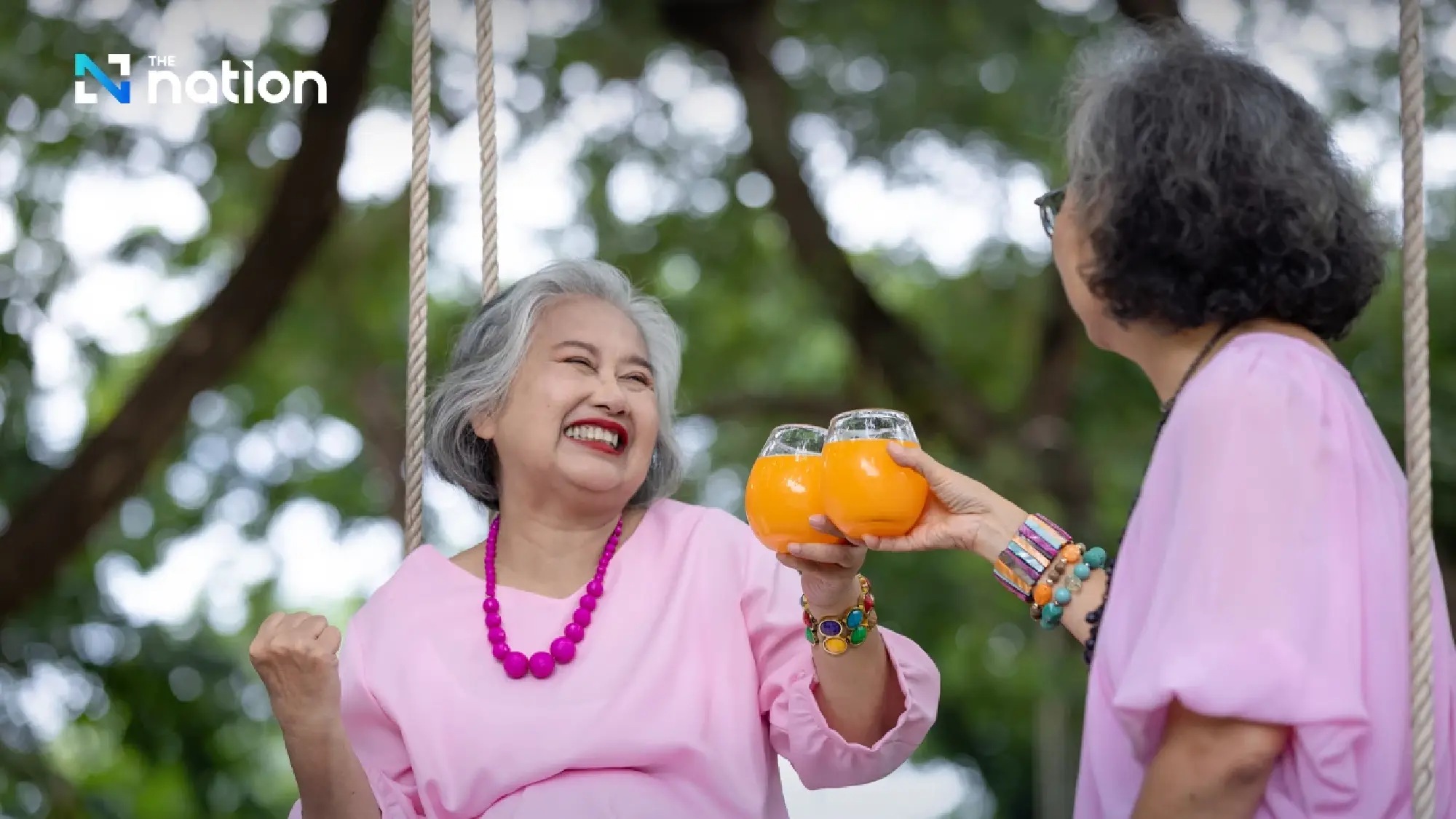 Preliminary Results of the 2025 Population and Housing Census: NSO