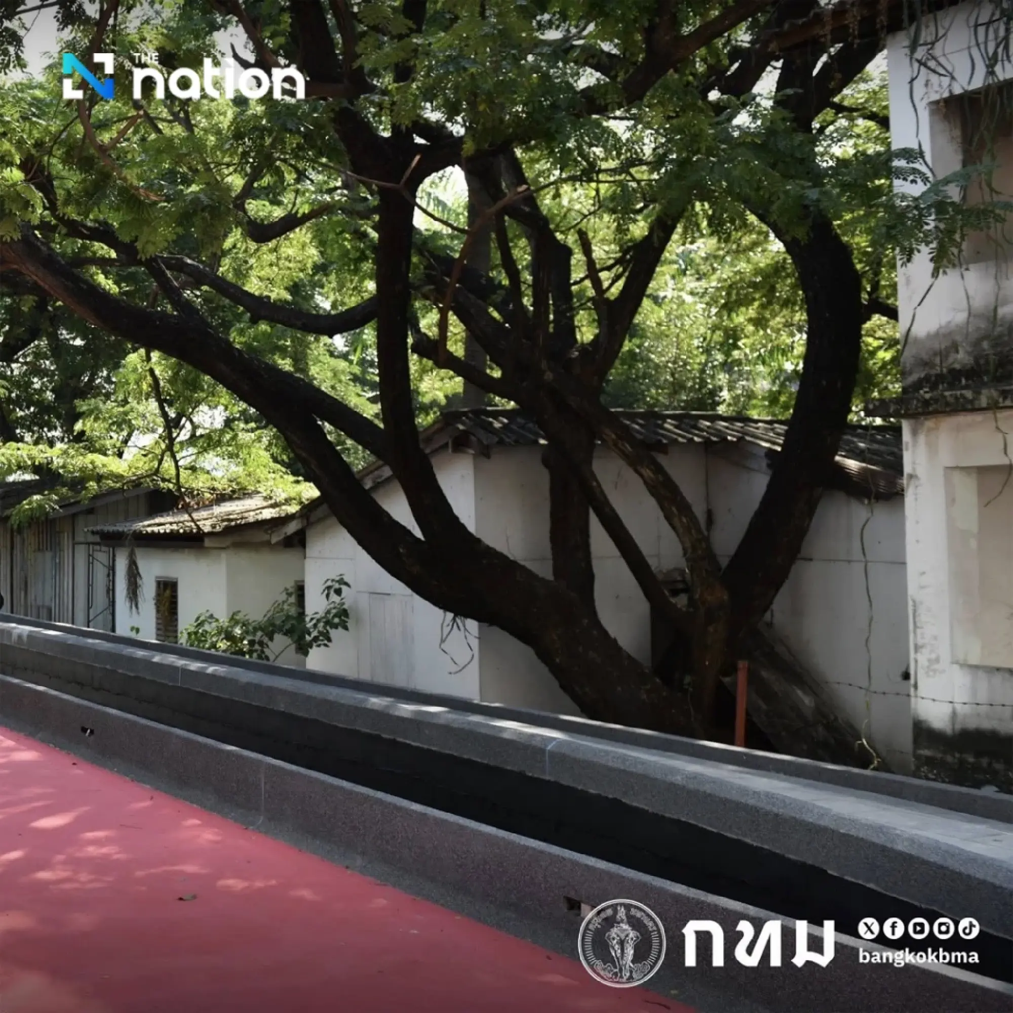 Bangkok’s Iconic ‘Green Bridge’ Reopens After Major Accessibility Overhaul