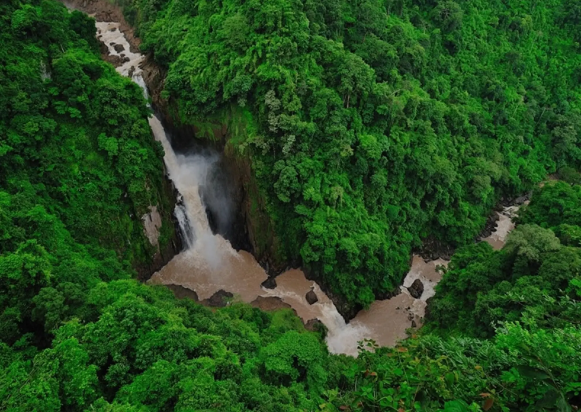 From peaks to Phi Phi: five national parks to see in Thailand