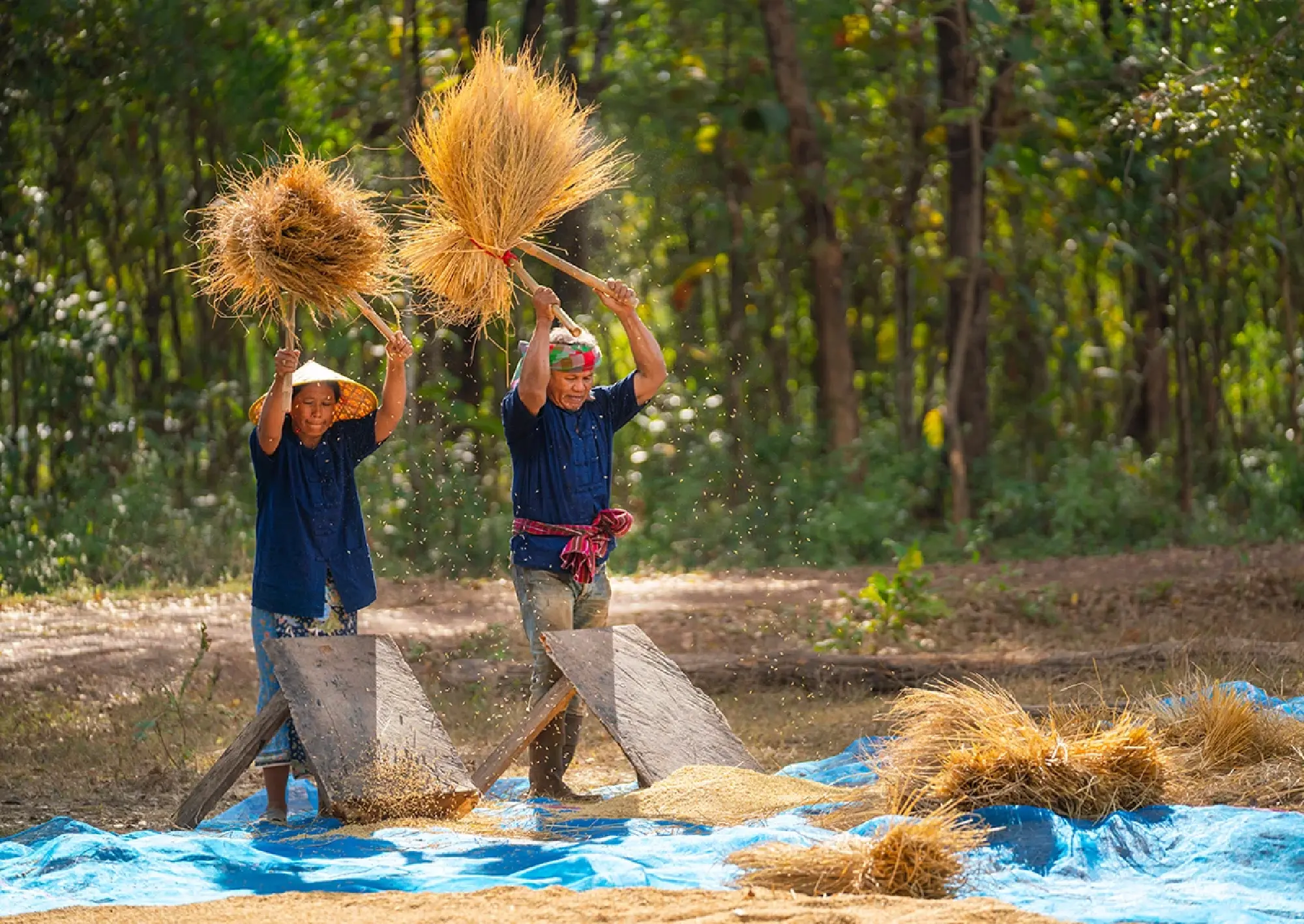 From Commodity to Craft: Thailand's Strategy on "Exquisite Rice"